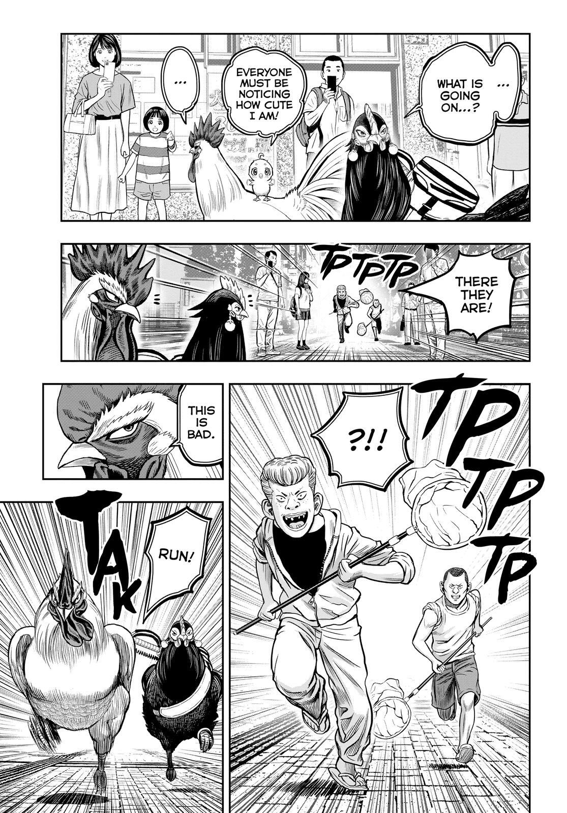 Read Rooster Fighter Manga Online