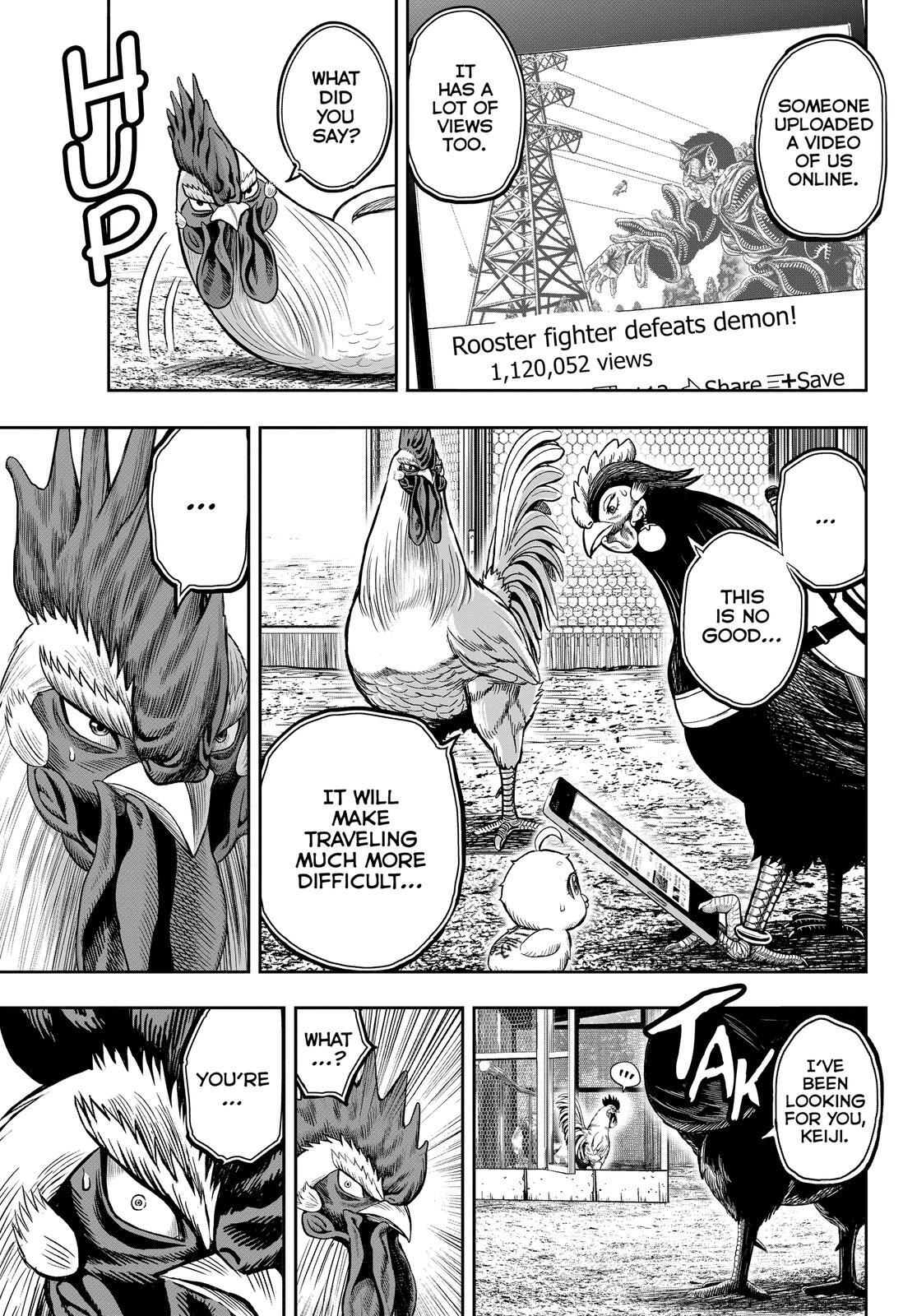 Read Rooster Fighter Manga Online