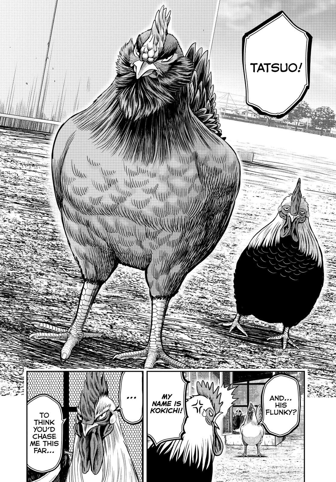 Read Rooster Fighter Manga Online