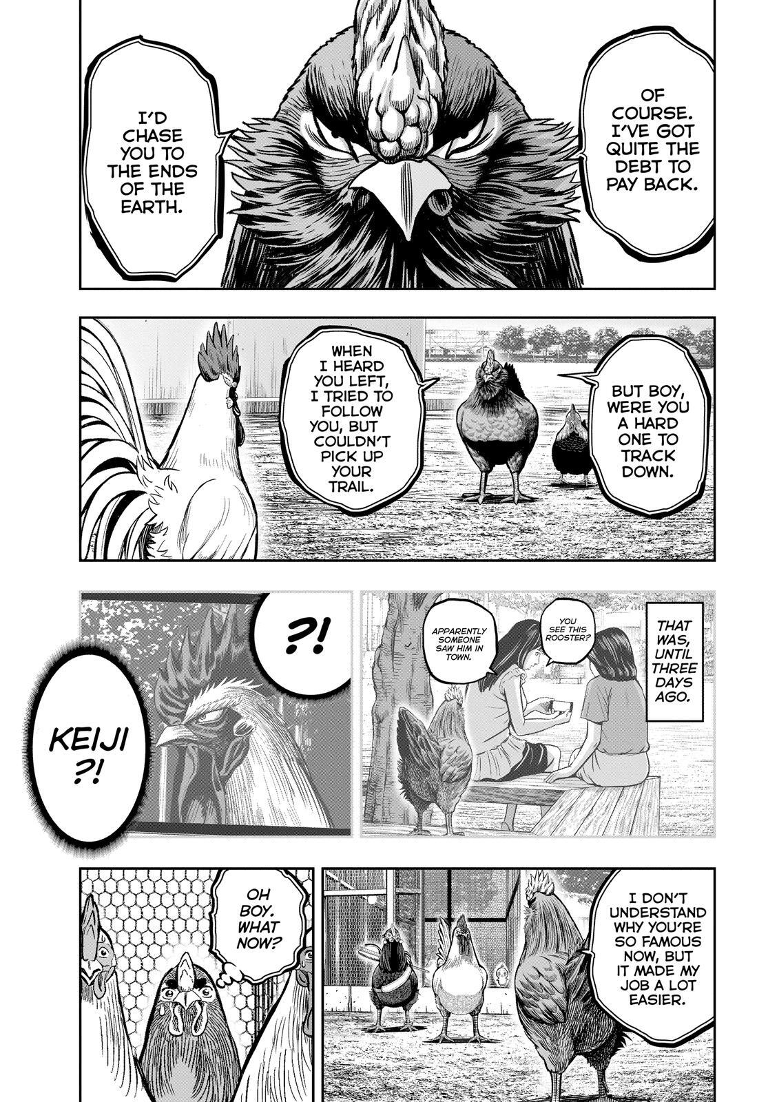 Read Rooster Fighter Manga Online