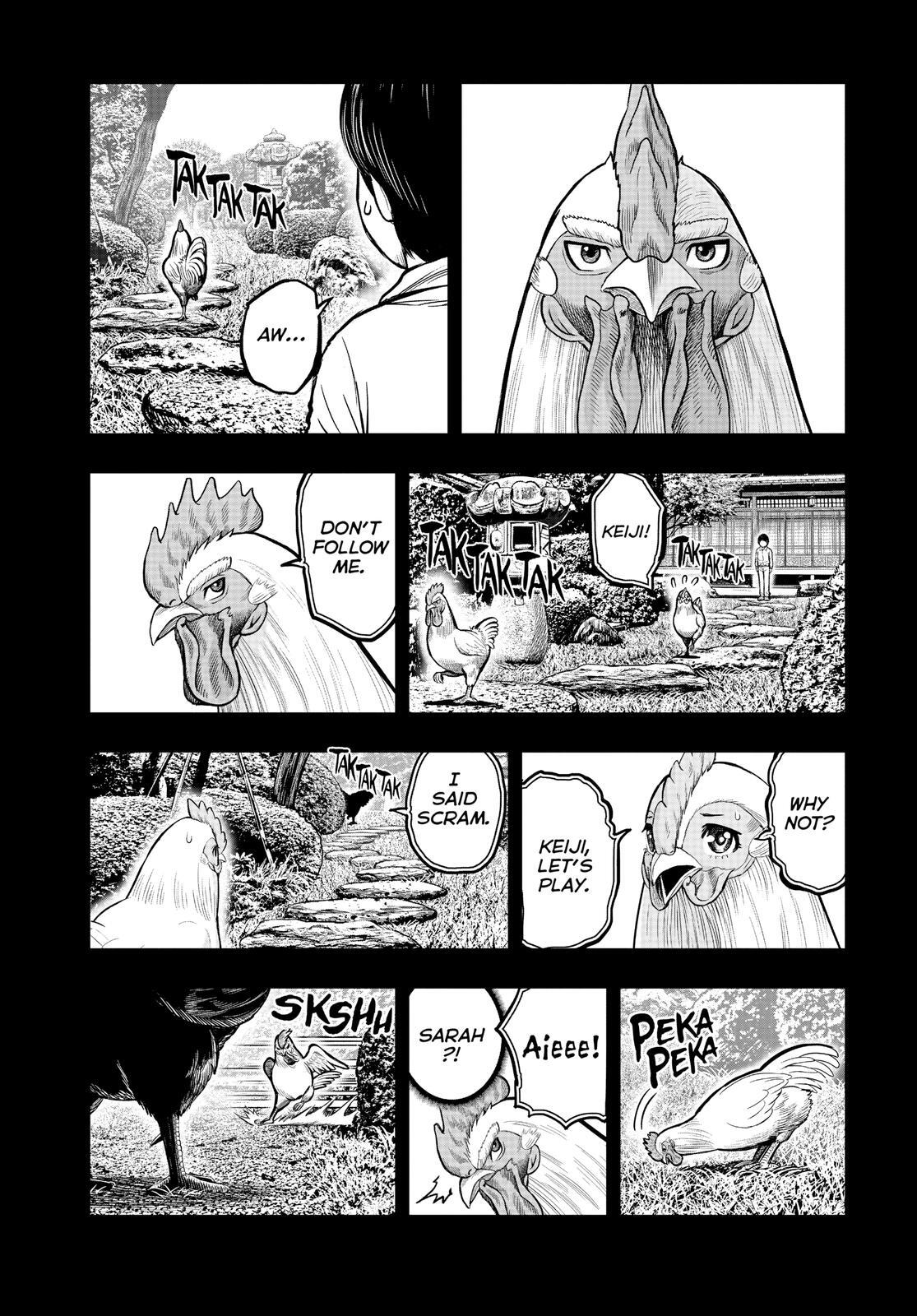 Read Rooster Fighter Manga Online
