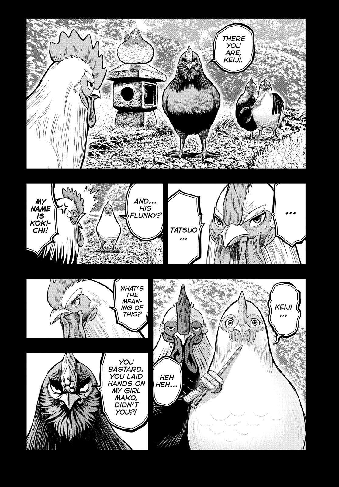 Read Rooster Fighter Manga Online