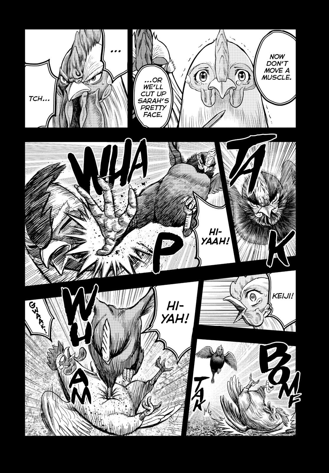 Read Rooster Fighter Manga Online