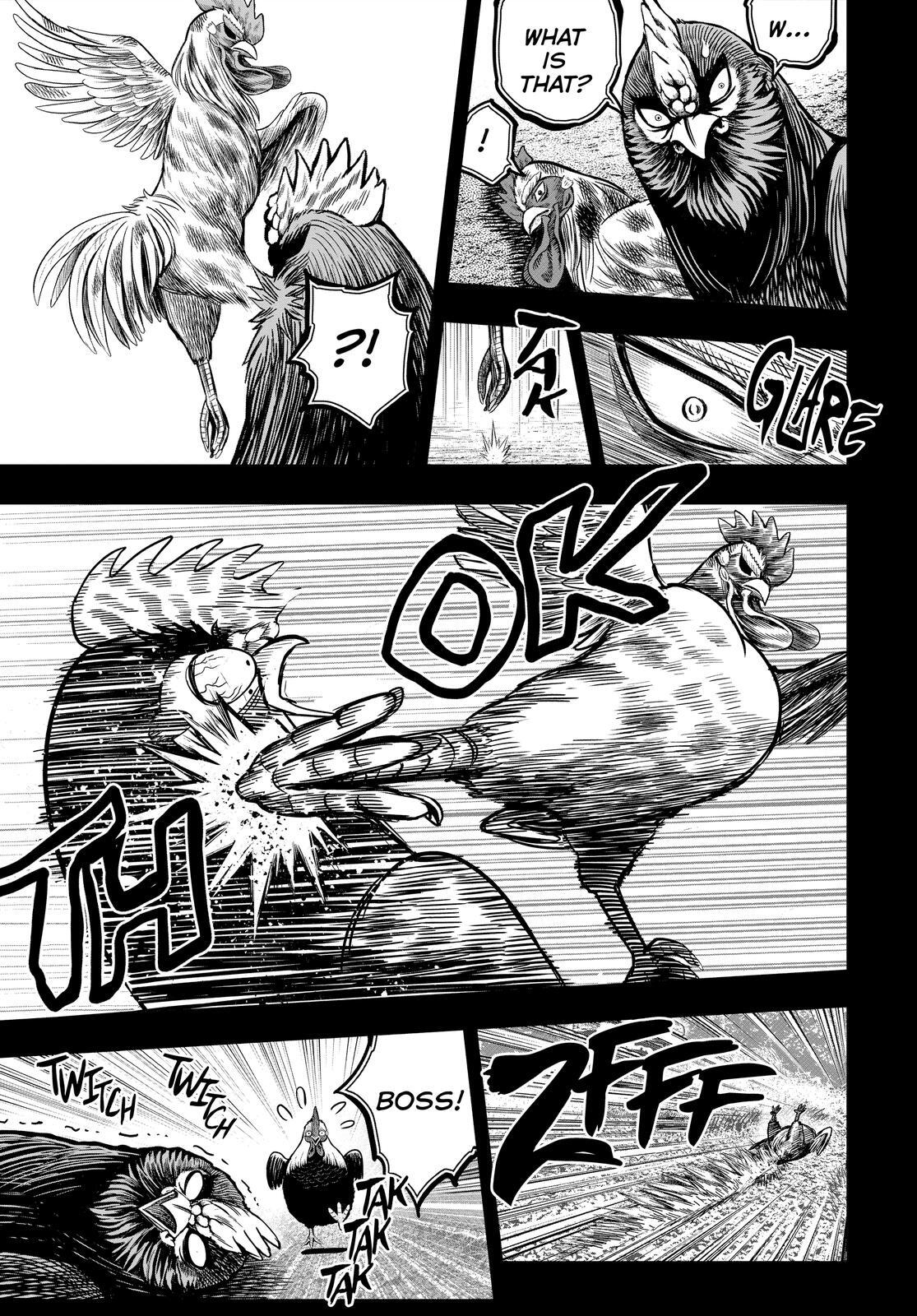 Read Rooster Fighter Manga Online