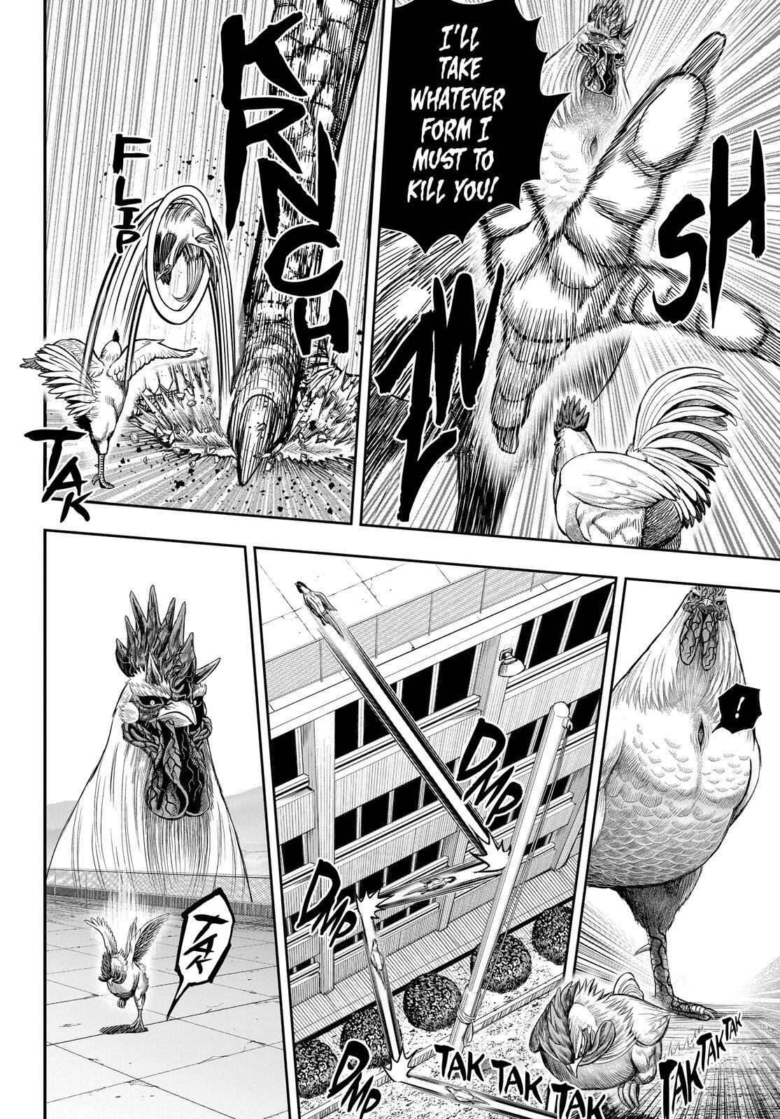 Read Rooster Fighter Manga Online