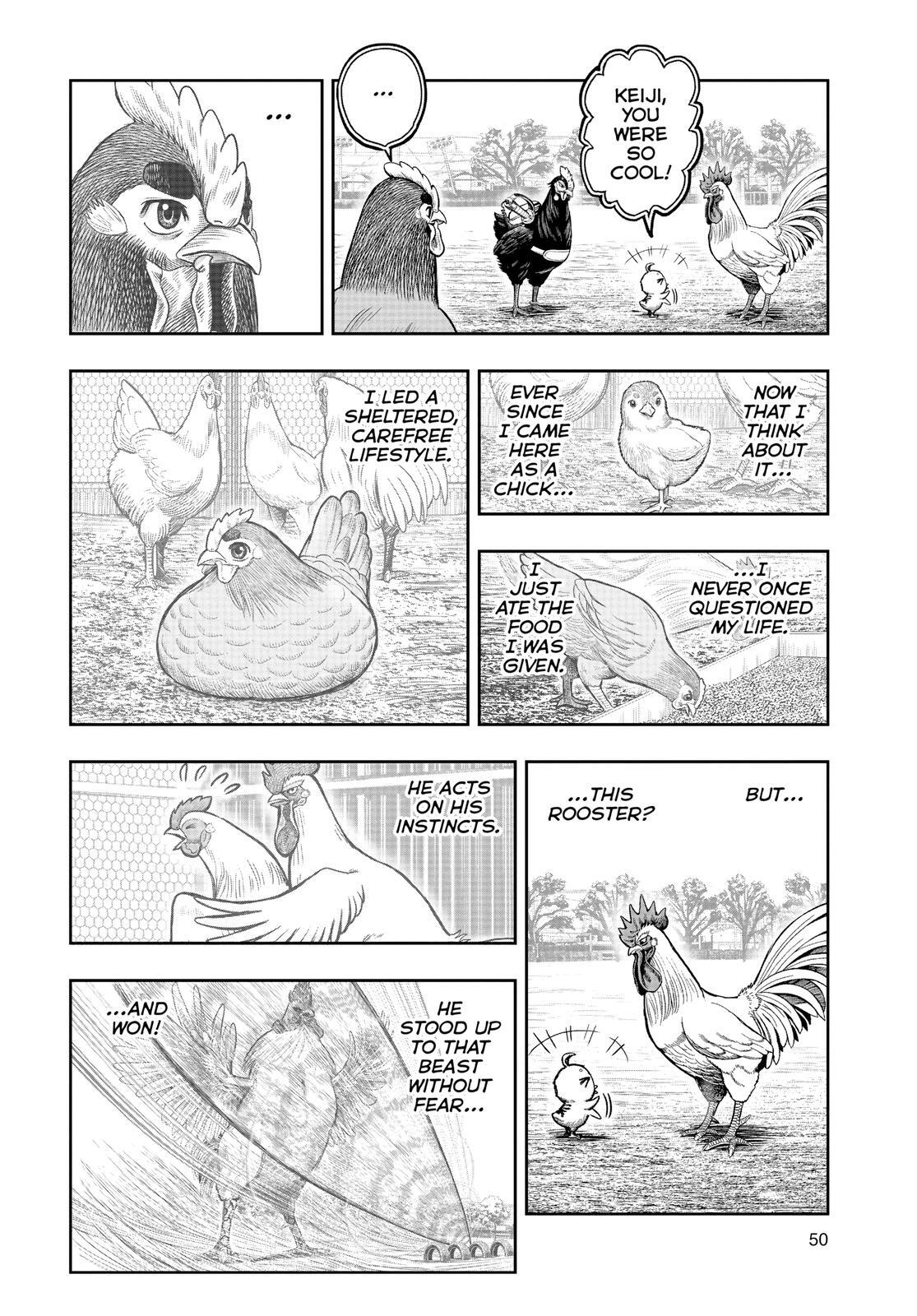 Read Rooster Fighter Manga Online