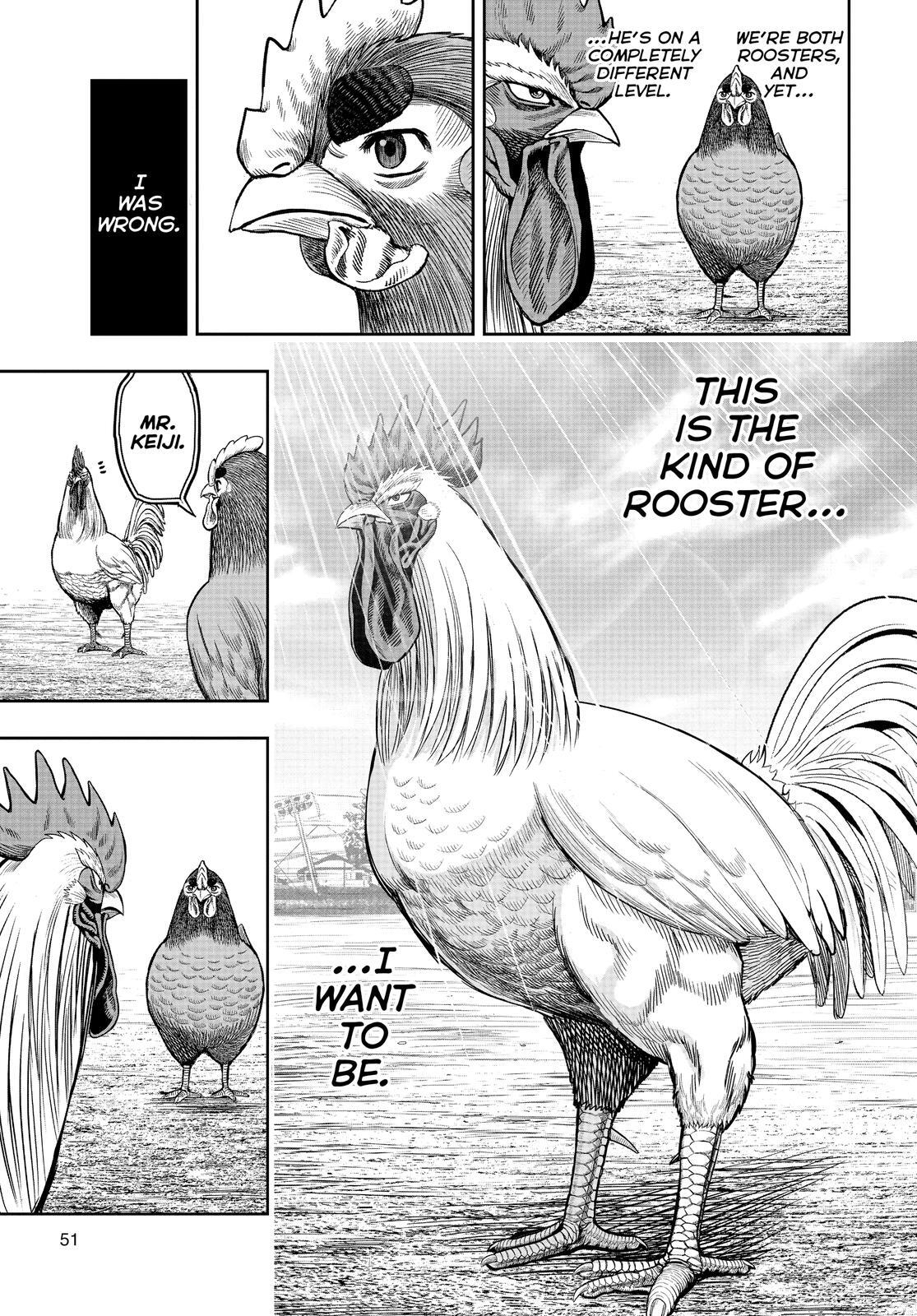 Read Rooster Fighter Manga Online