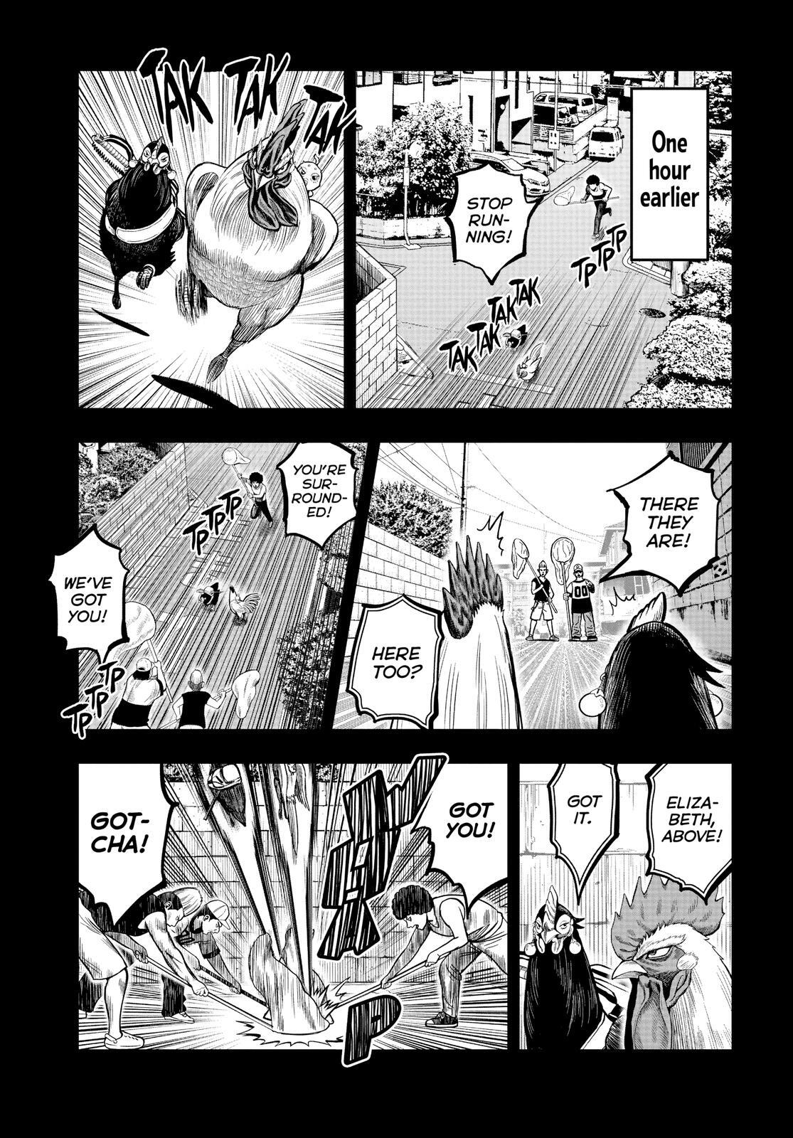 Read Rooster Fighter Manga Online