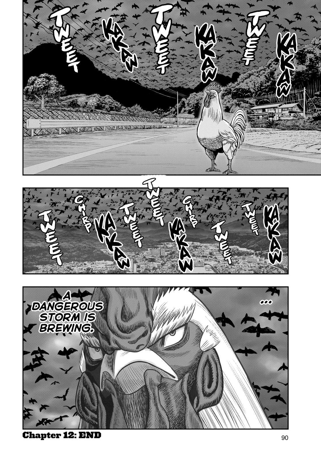 Read Rooster Fighter Manga Online