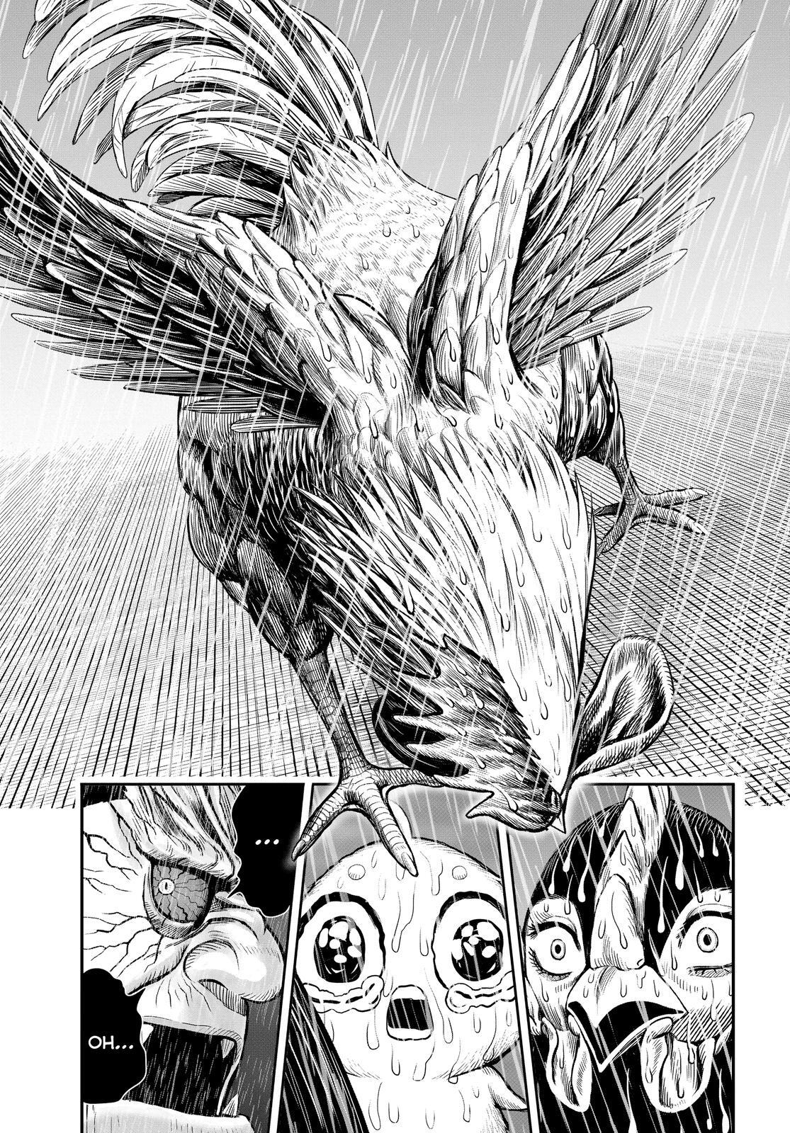 Read Rooster Fighter Manga Online