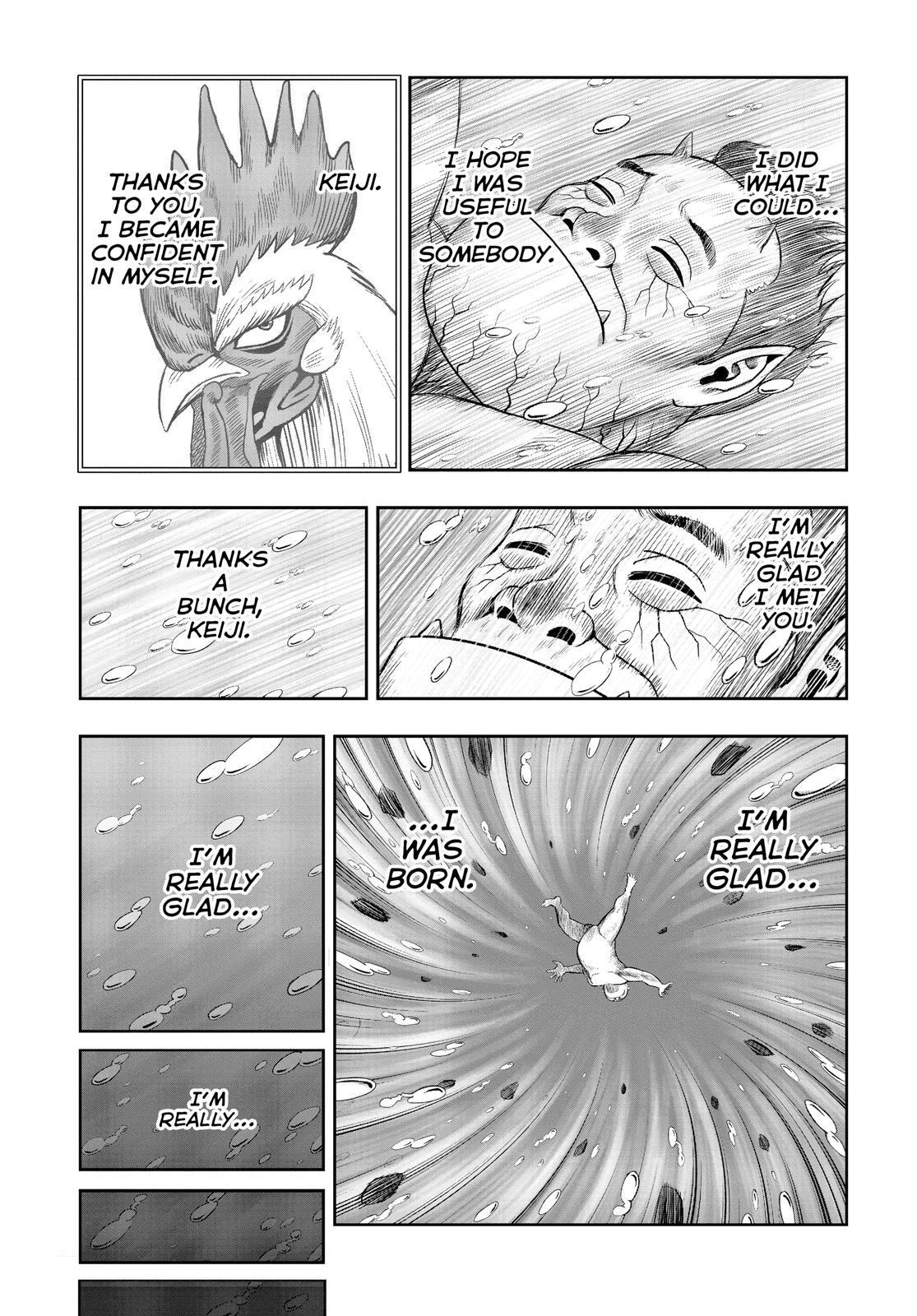 Read Rooster Fighter Manga Online