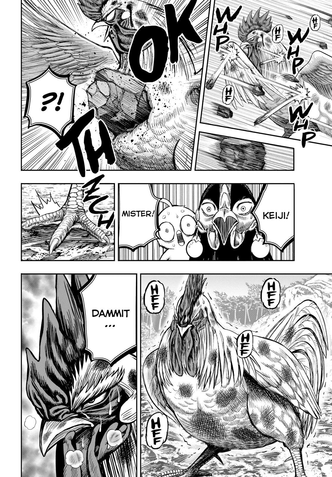 Read Rooster Fighter Manga Online