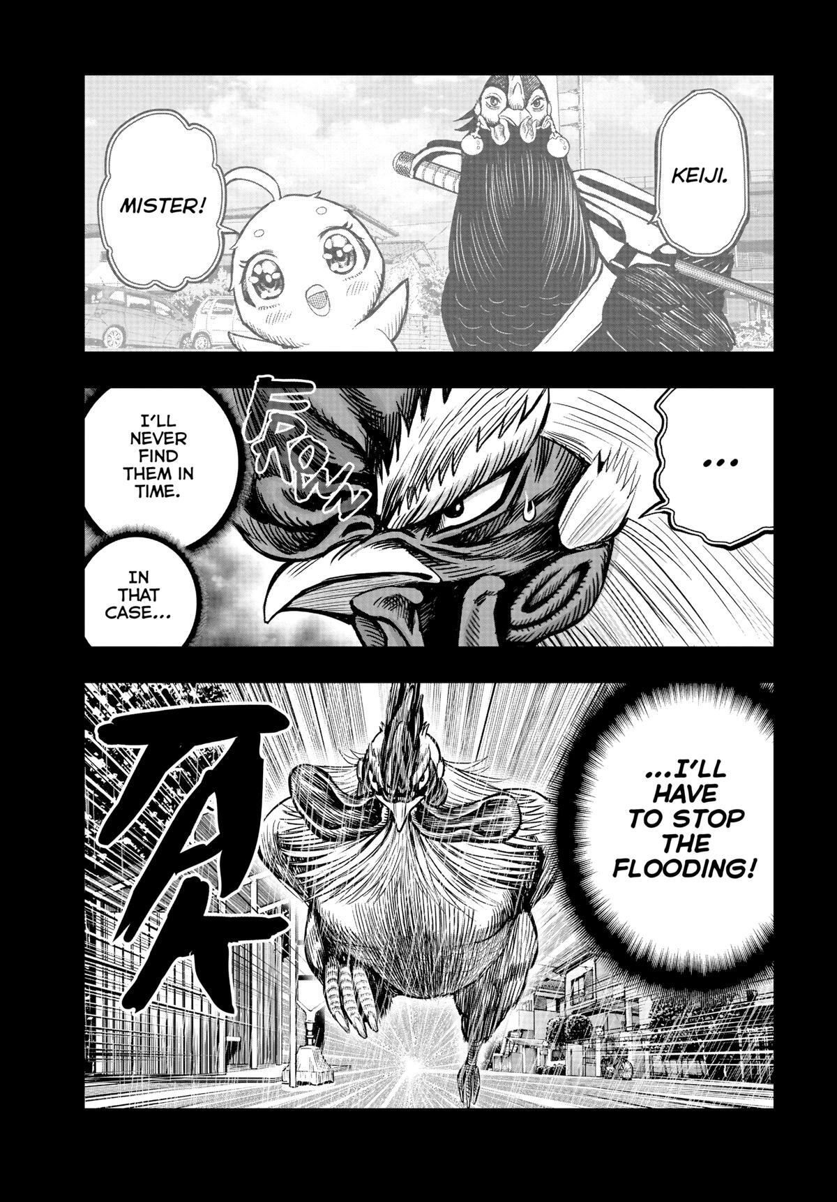 Read Rooster Fighter Manga Online