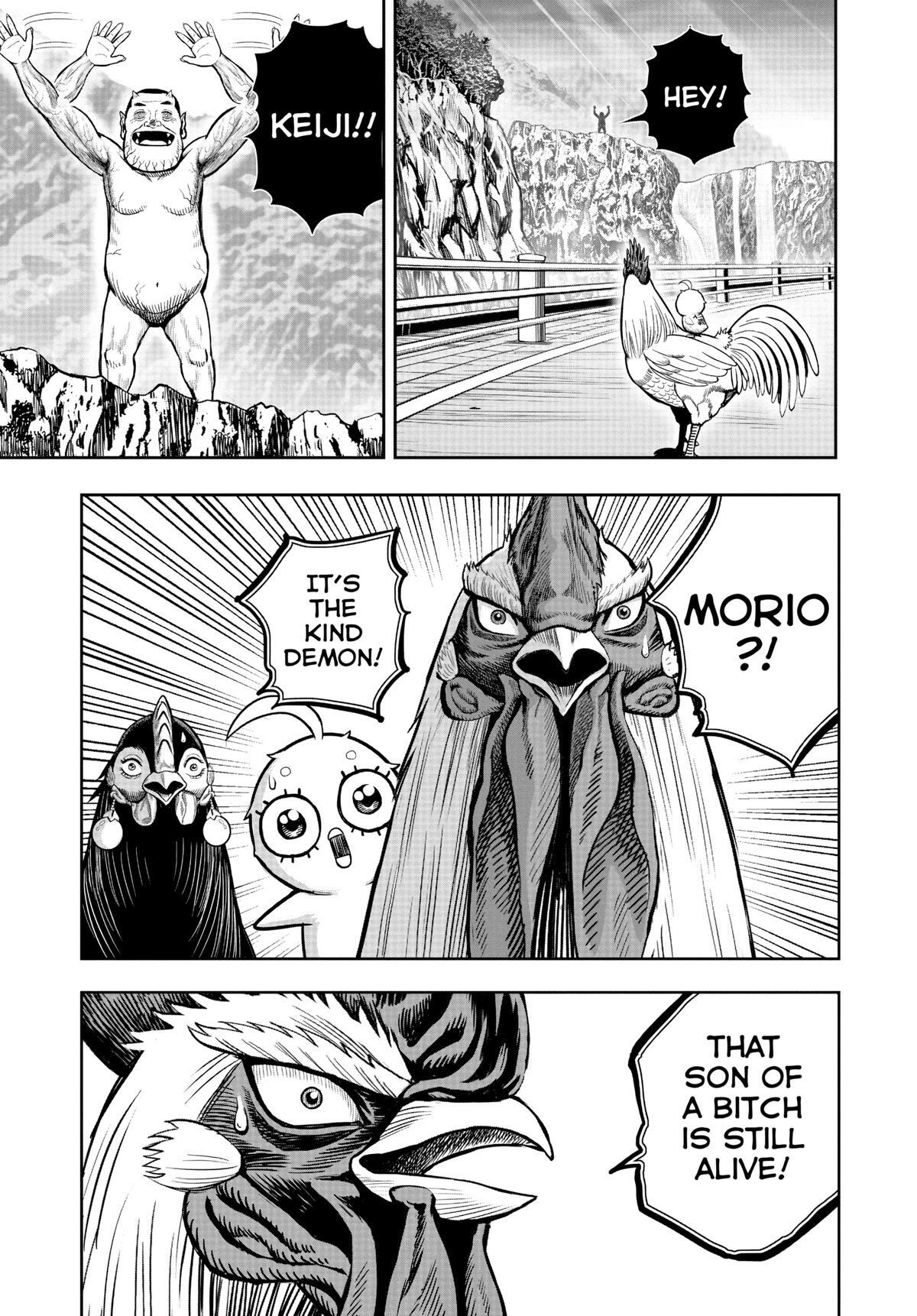 Read Rooster Fighter Manga Online