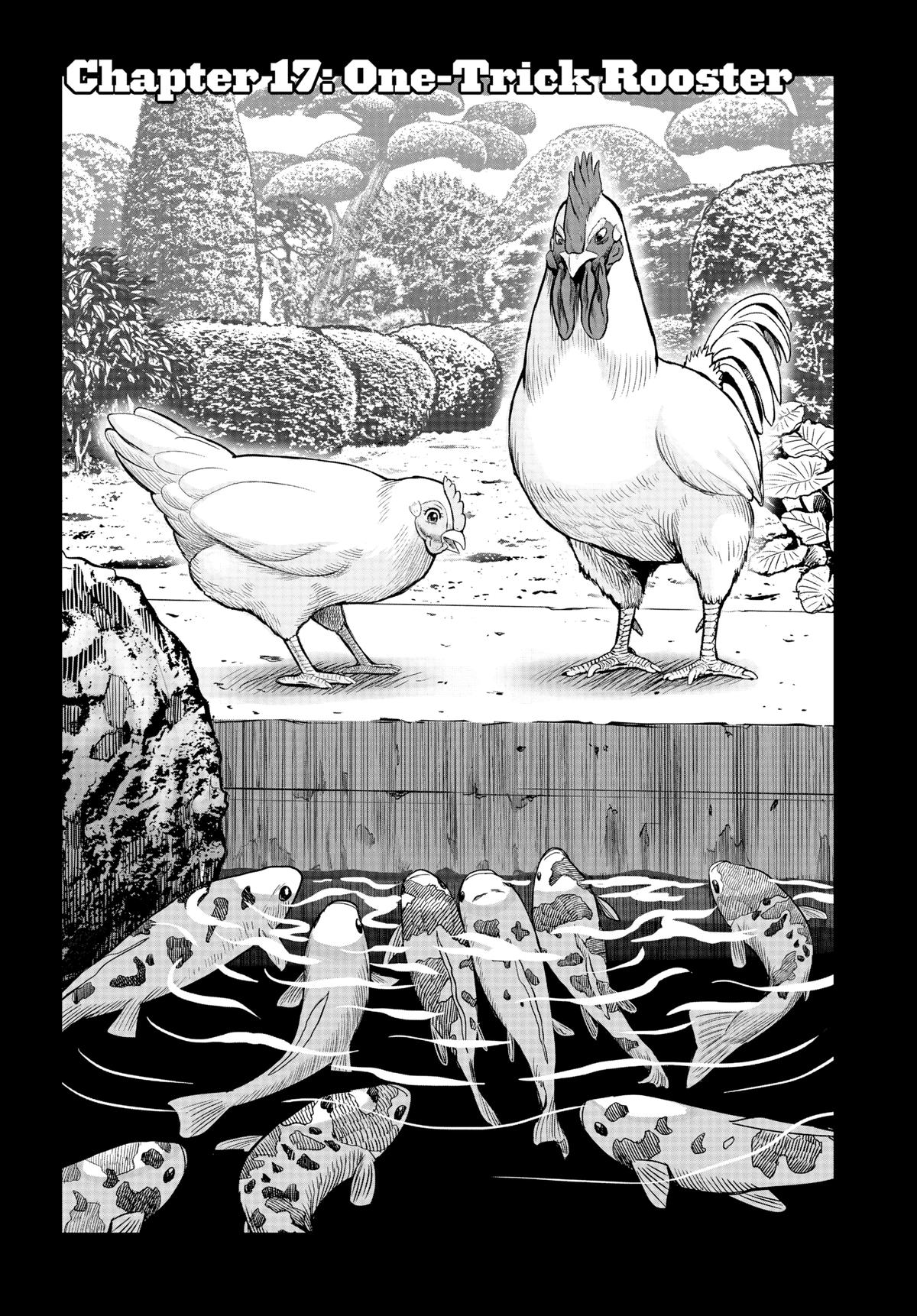 Read Rooster Fighter Manga Online