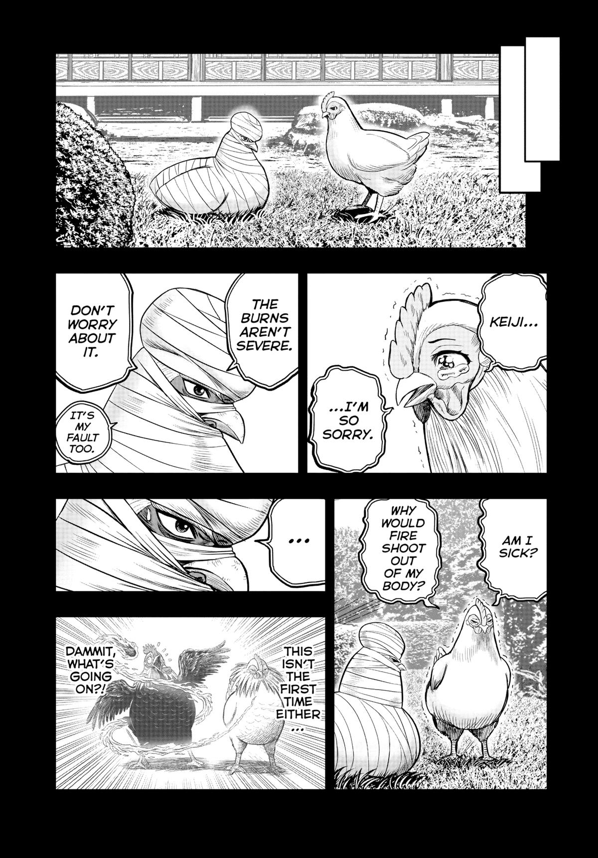 Read Rooster Fighter Manga Online