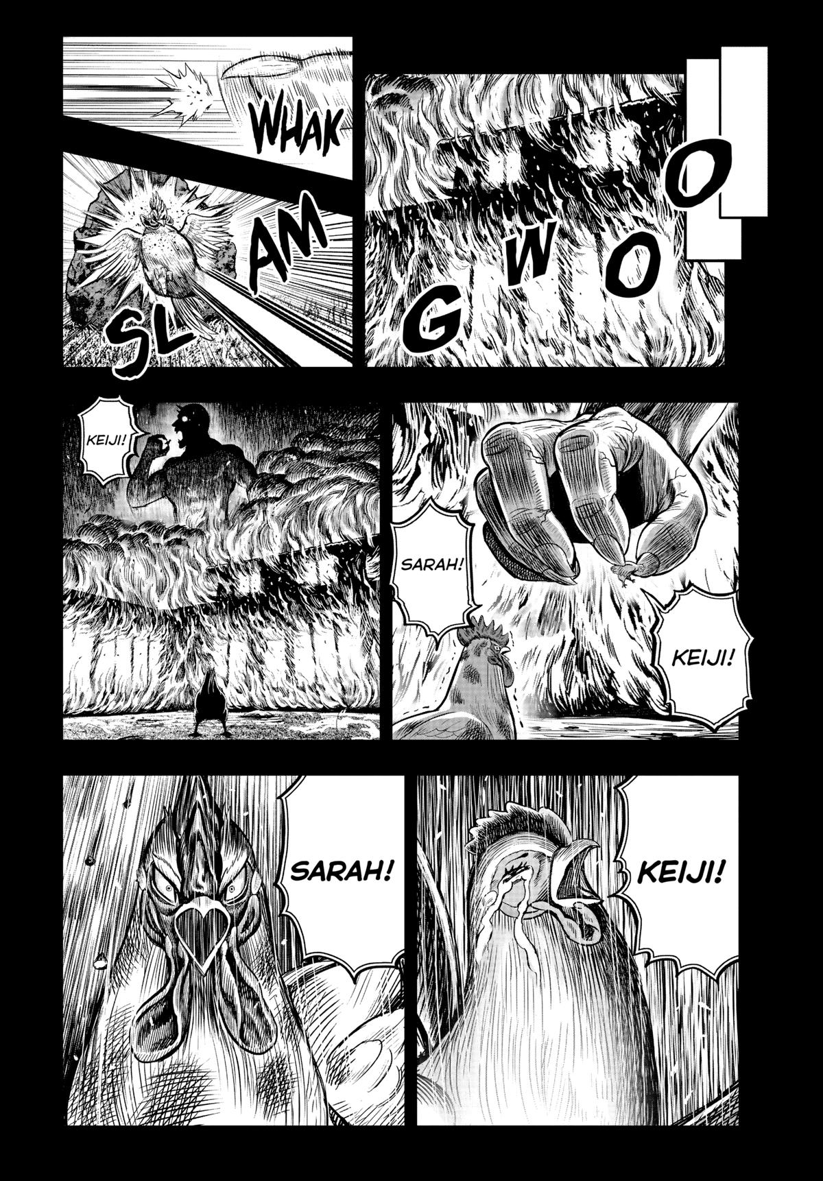 Read Rooster Fighter Manga Online