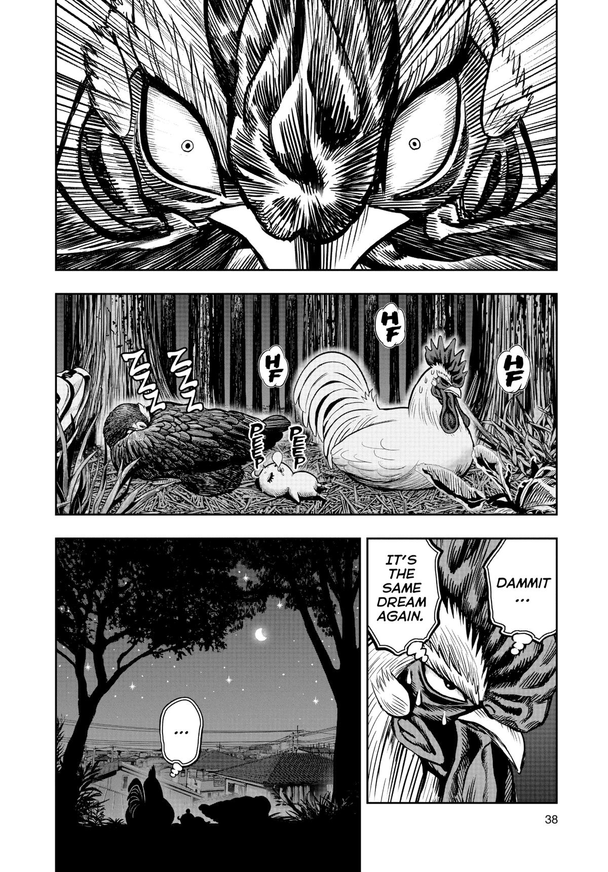 Read Rooster Fighter Manga Online