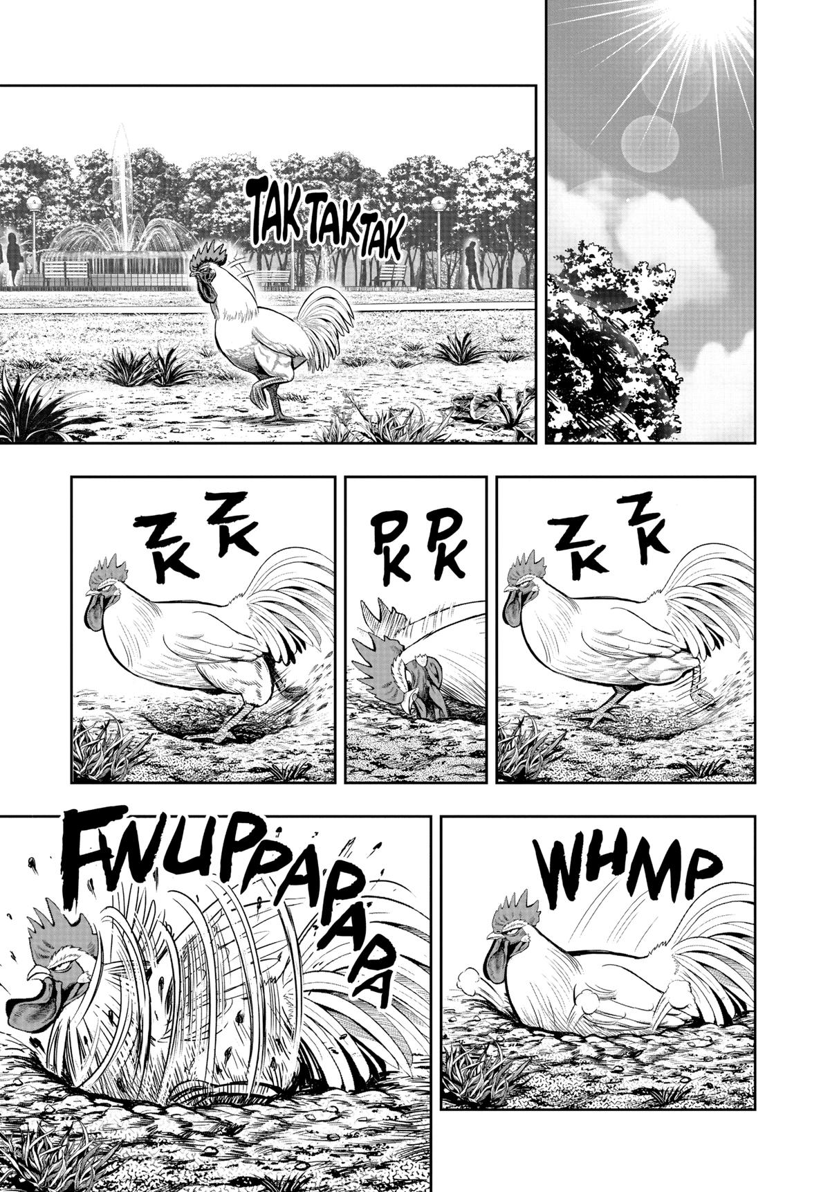 Read Rooster Fighter Manga Online
