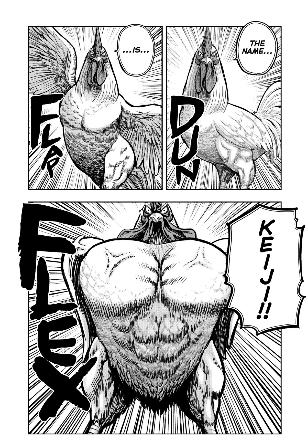 Read Rooster Fighter Manga Online
