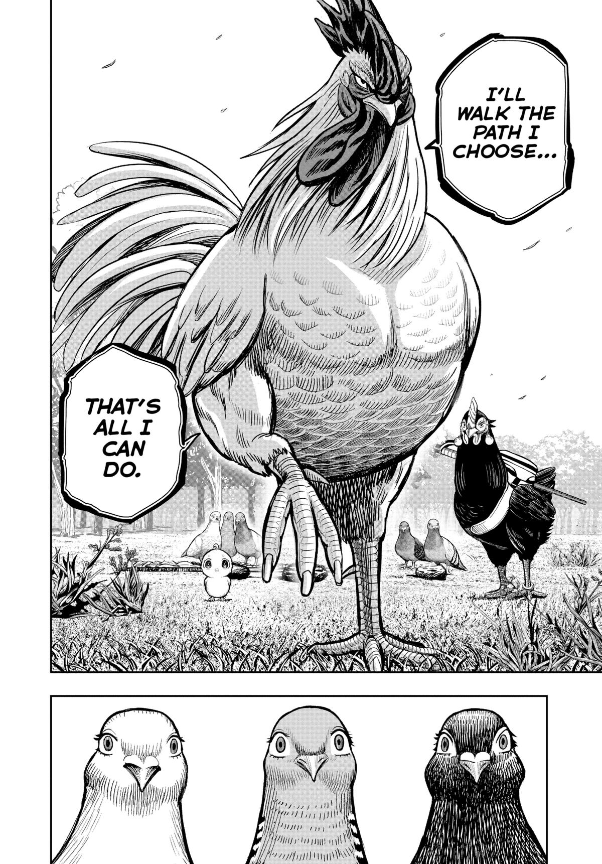 Read Rooster Fighter Manga Online