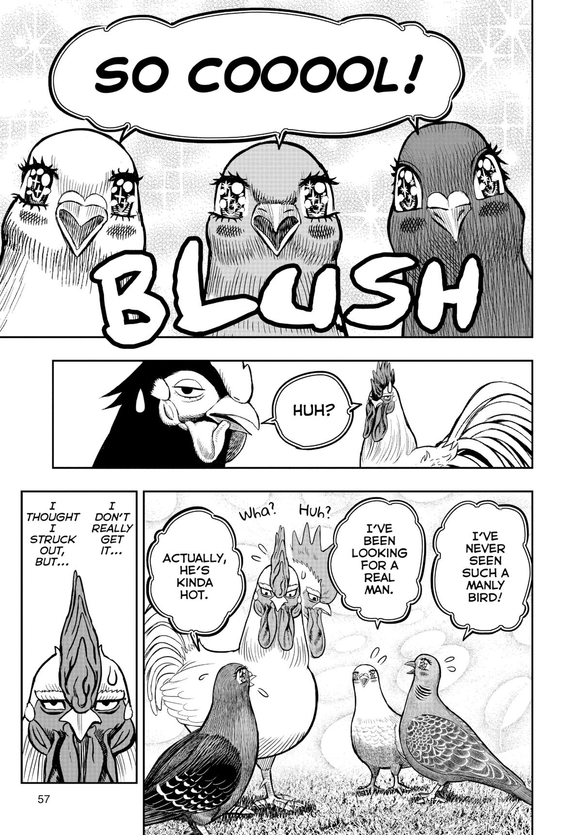 Read Rooster Fighter Manga Online