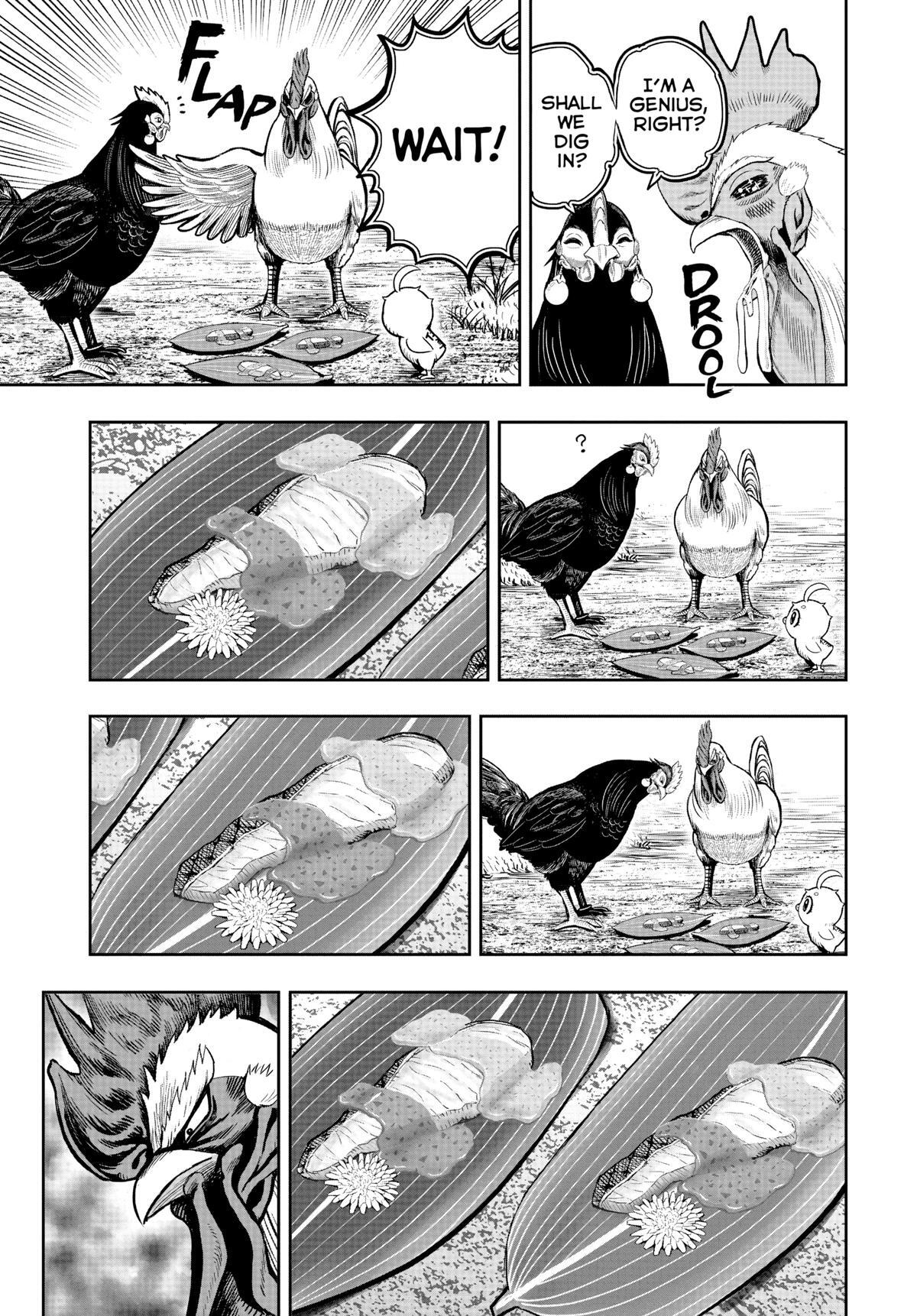 Read Rooster Fighter Manga Online
