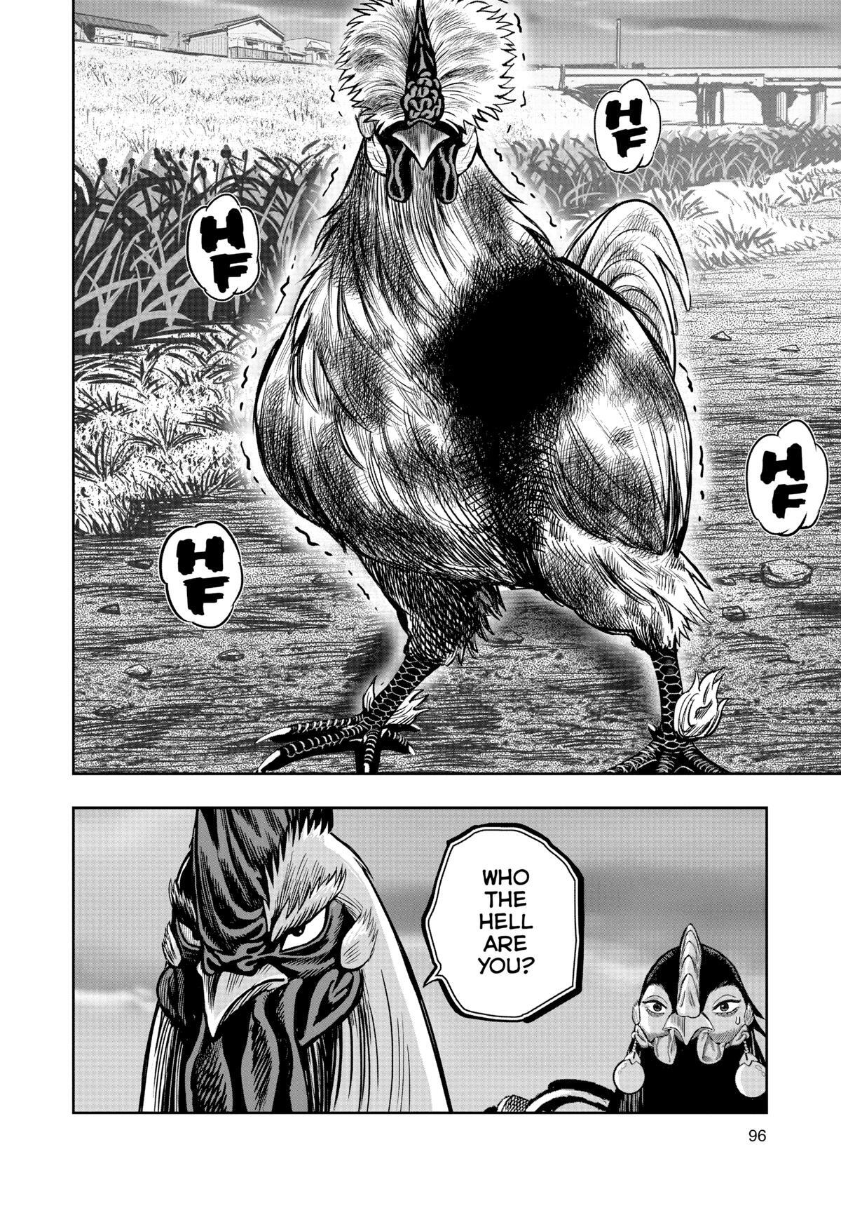 Read Rooster Fighter Manga Online