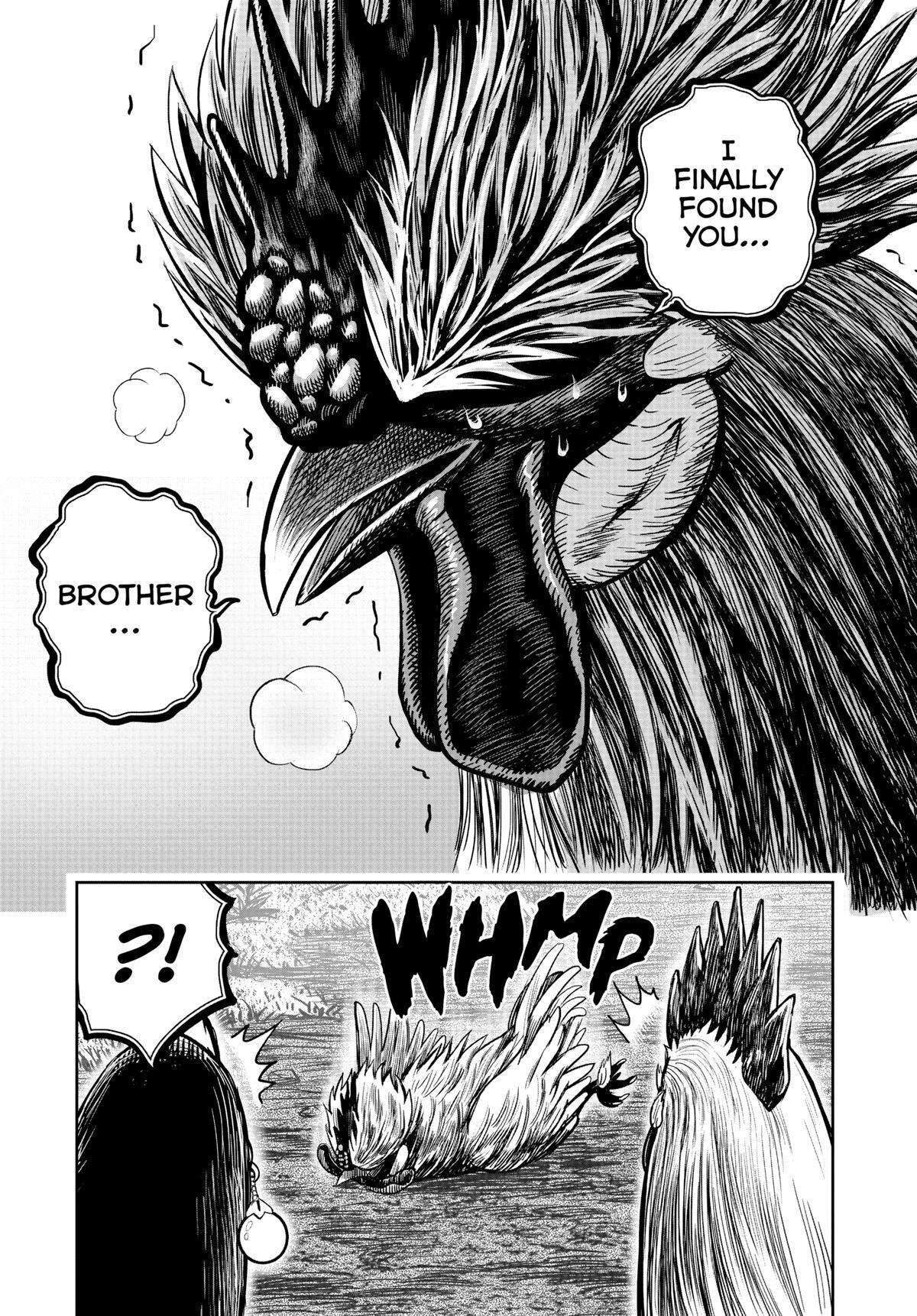 Read Rooster Fighter Manga Online