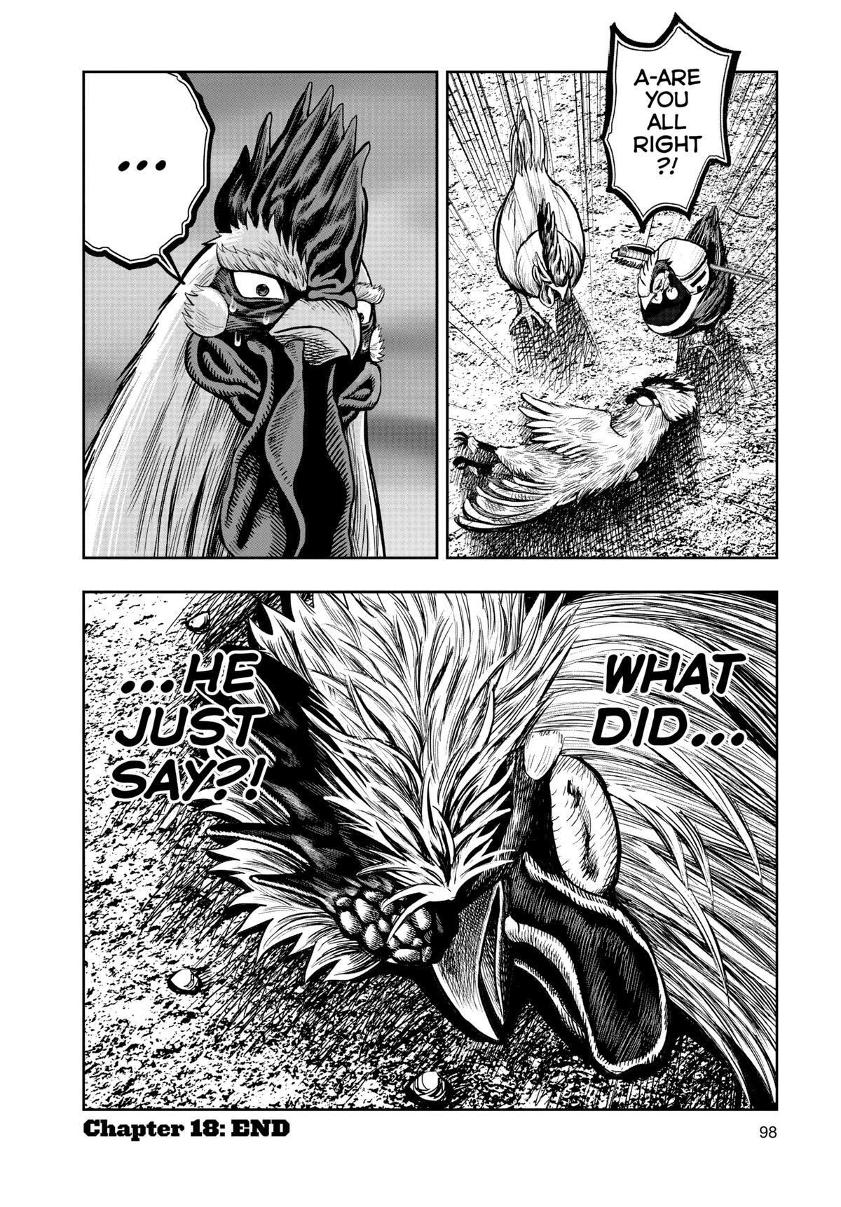 Read Rooster Fighter Manga Online