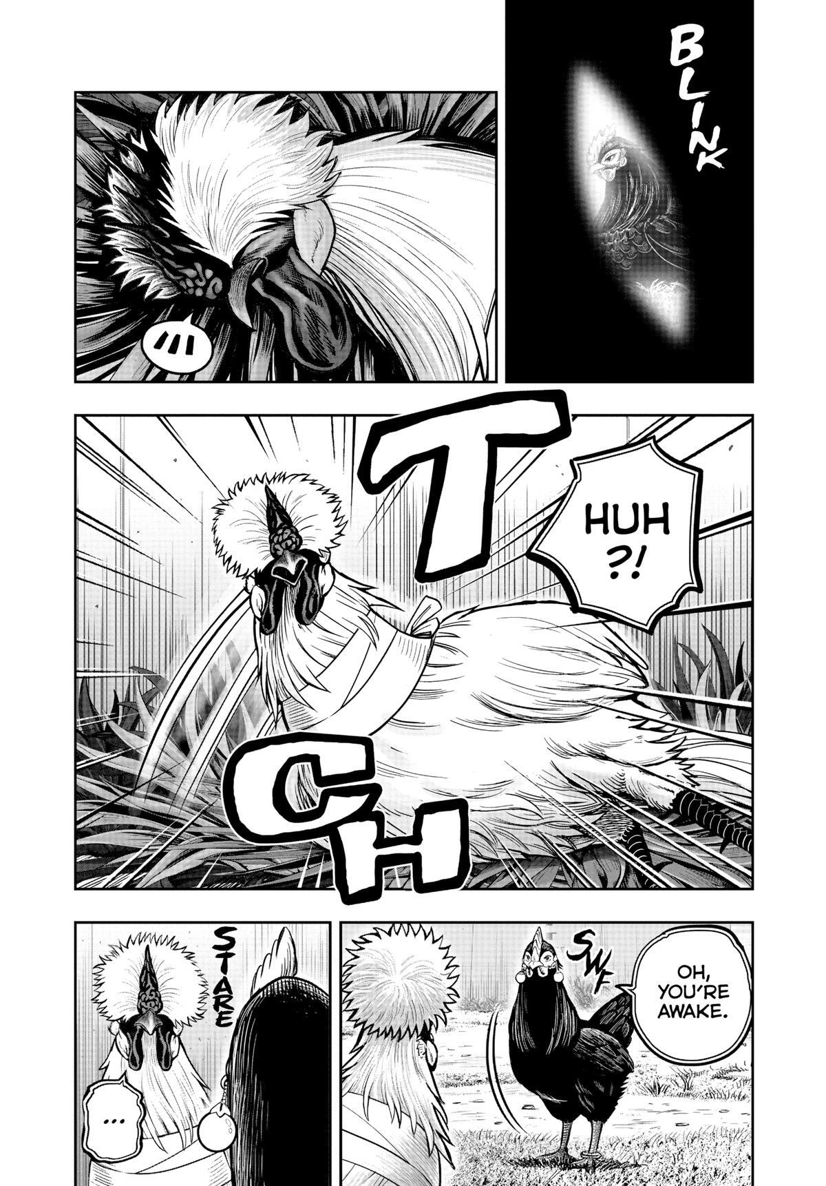Read Rooster Fighter Manga Online