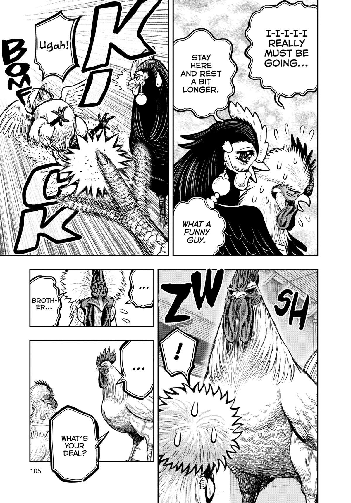 Read Rooster Fighter Manga Online