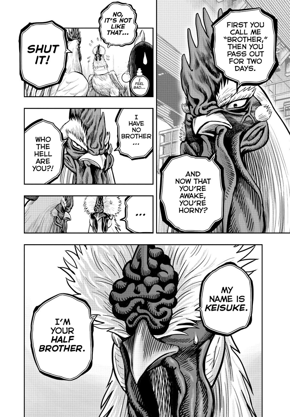 Read Rooster Fighter Manga Online