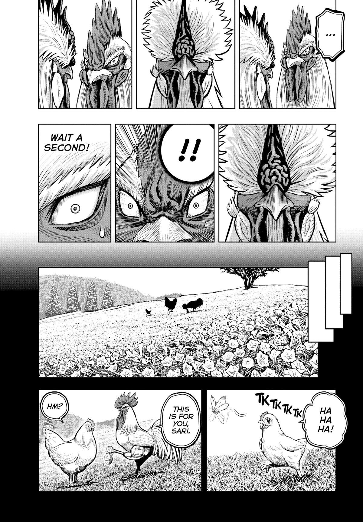 Read Rooster Fighter Manga Online