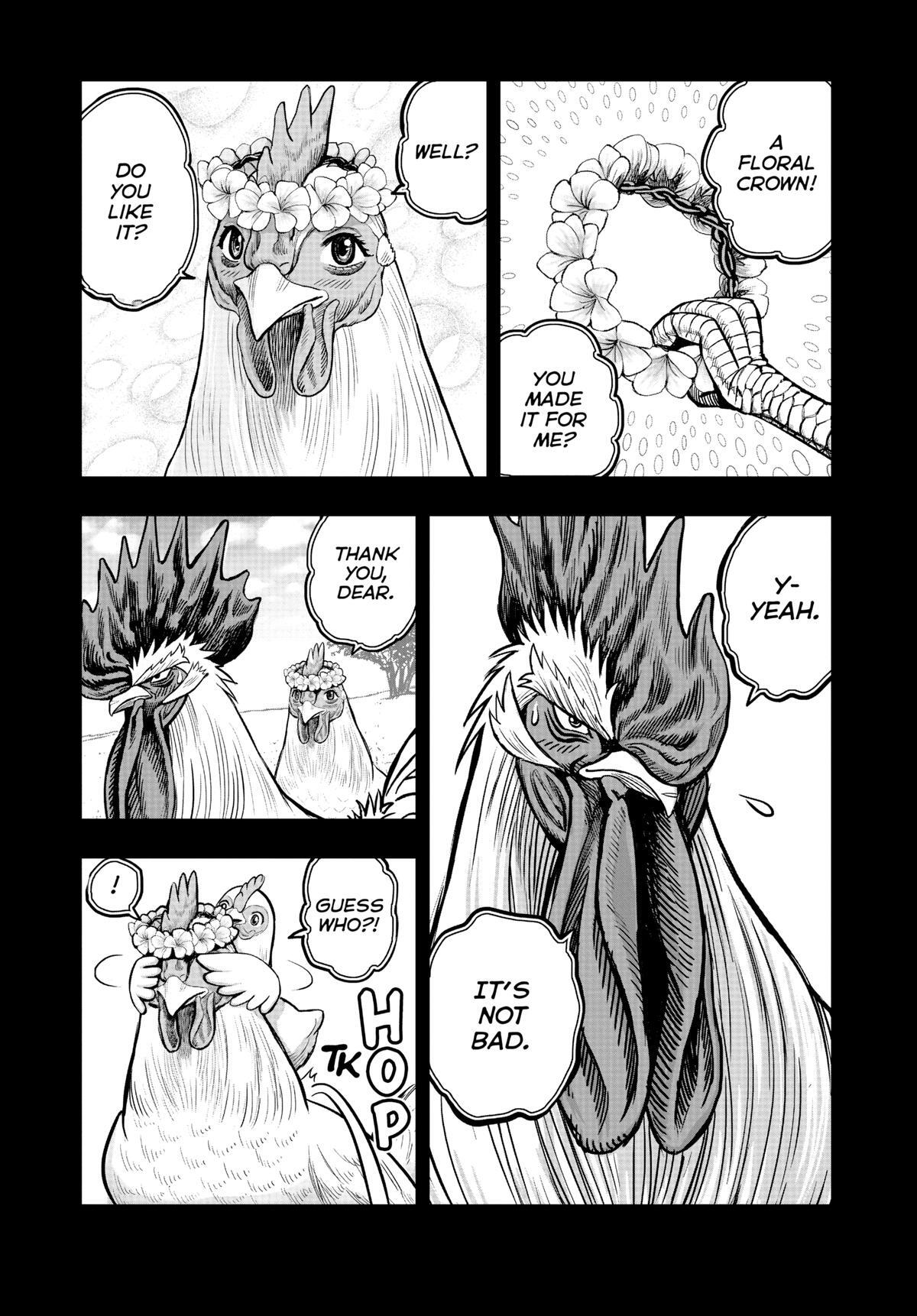 Read Rooster Fighter Manga Online