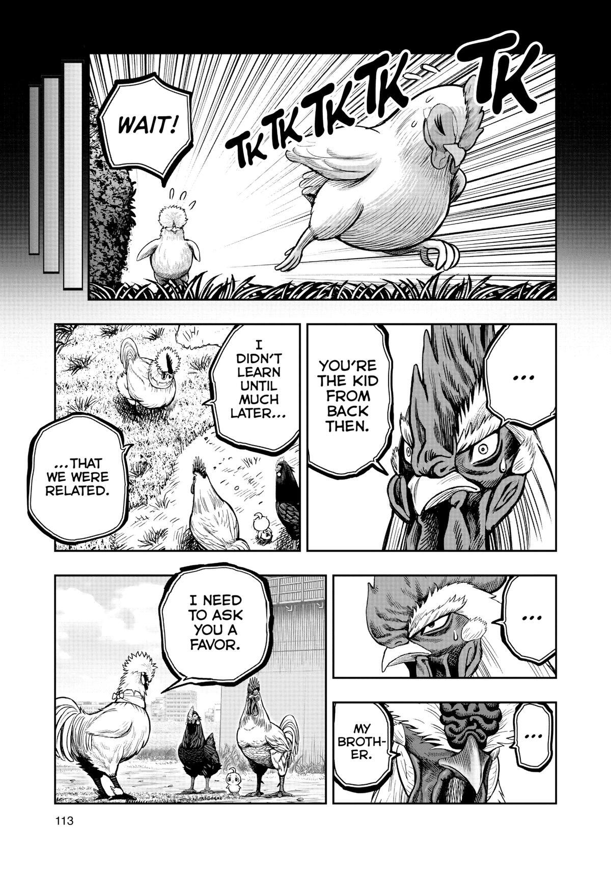Read Rooster Fighter Manga Online