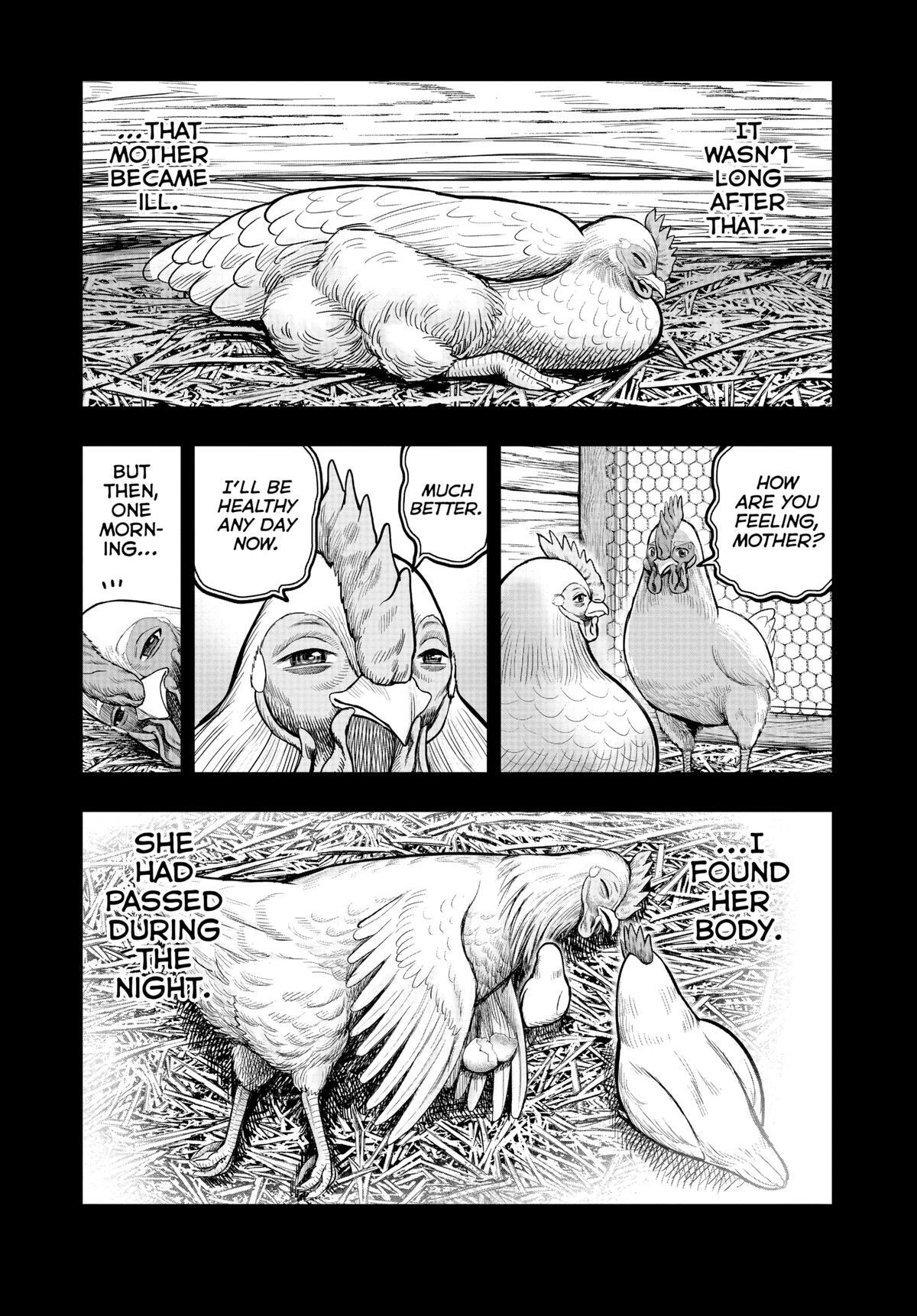 Read Rooster Fighter Manga Online