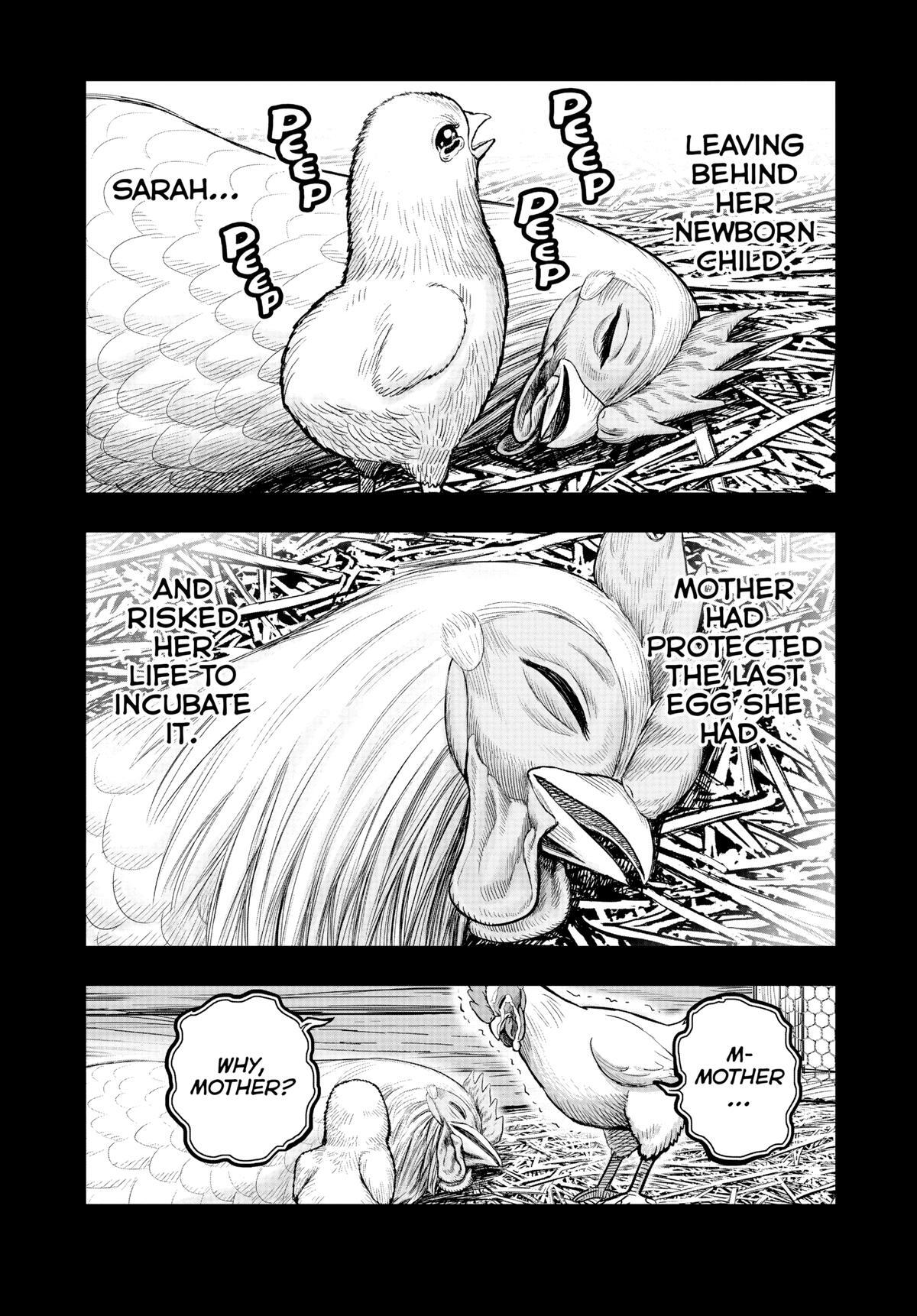 Read Rooster Fighter Manga Online