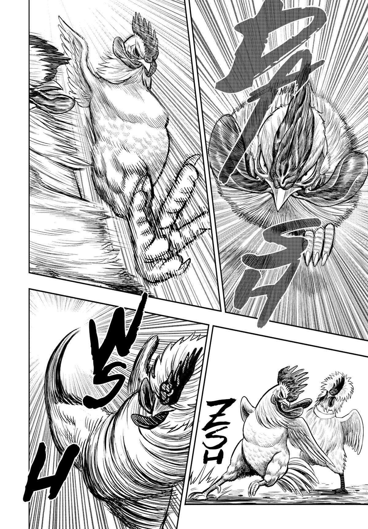 Read Rooster Fighter Manga Online