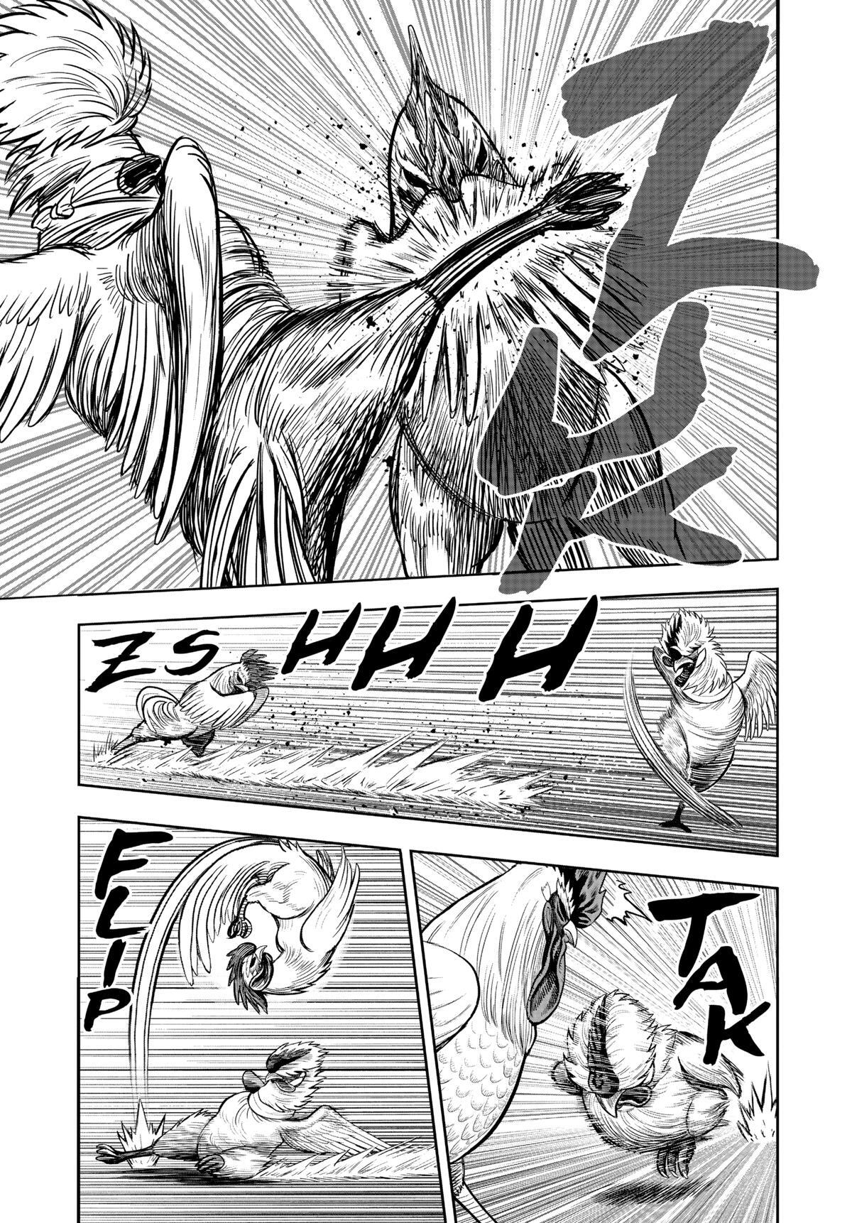 Read Rooster Fighter Manga Online
