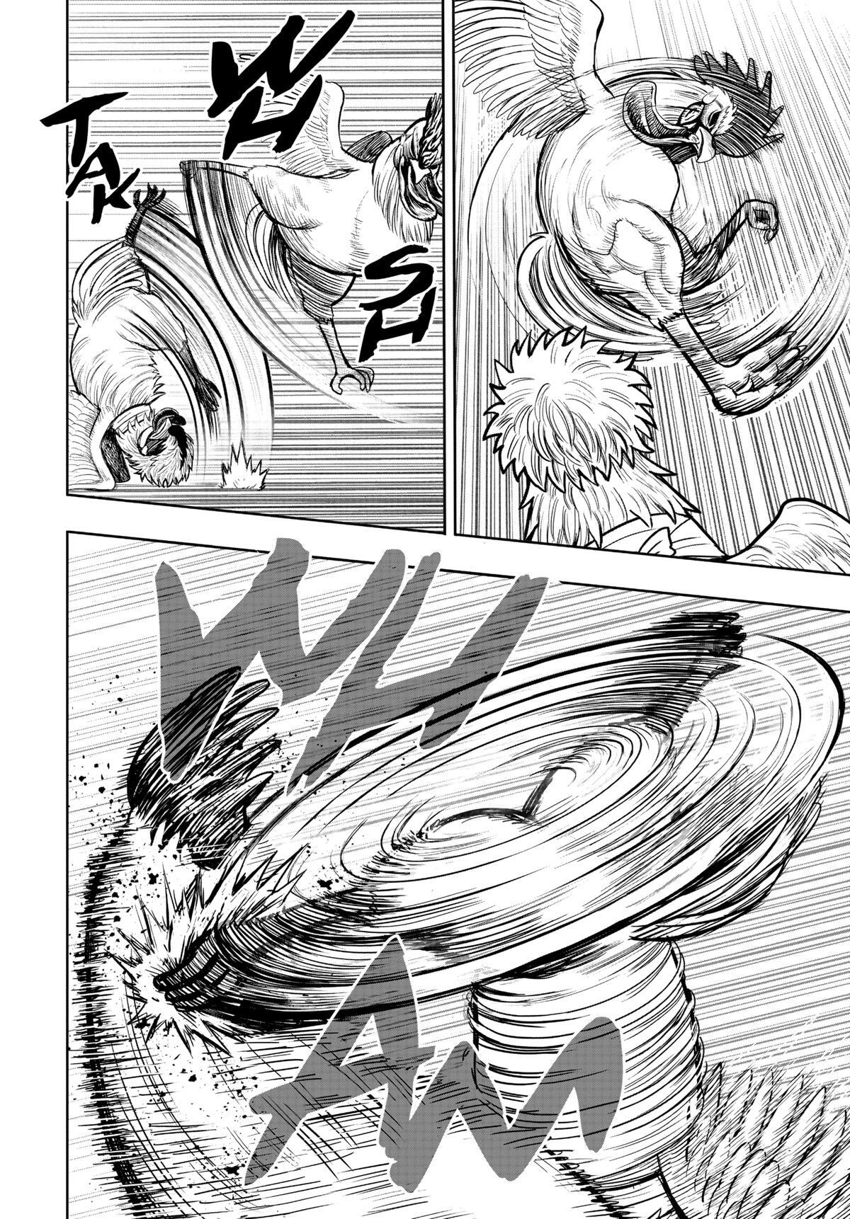 Read Rooster Fighter Manga Online