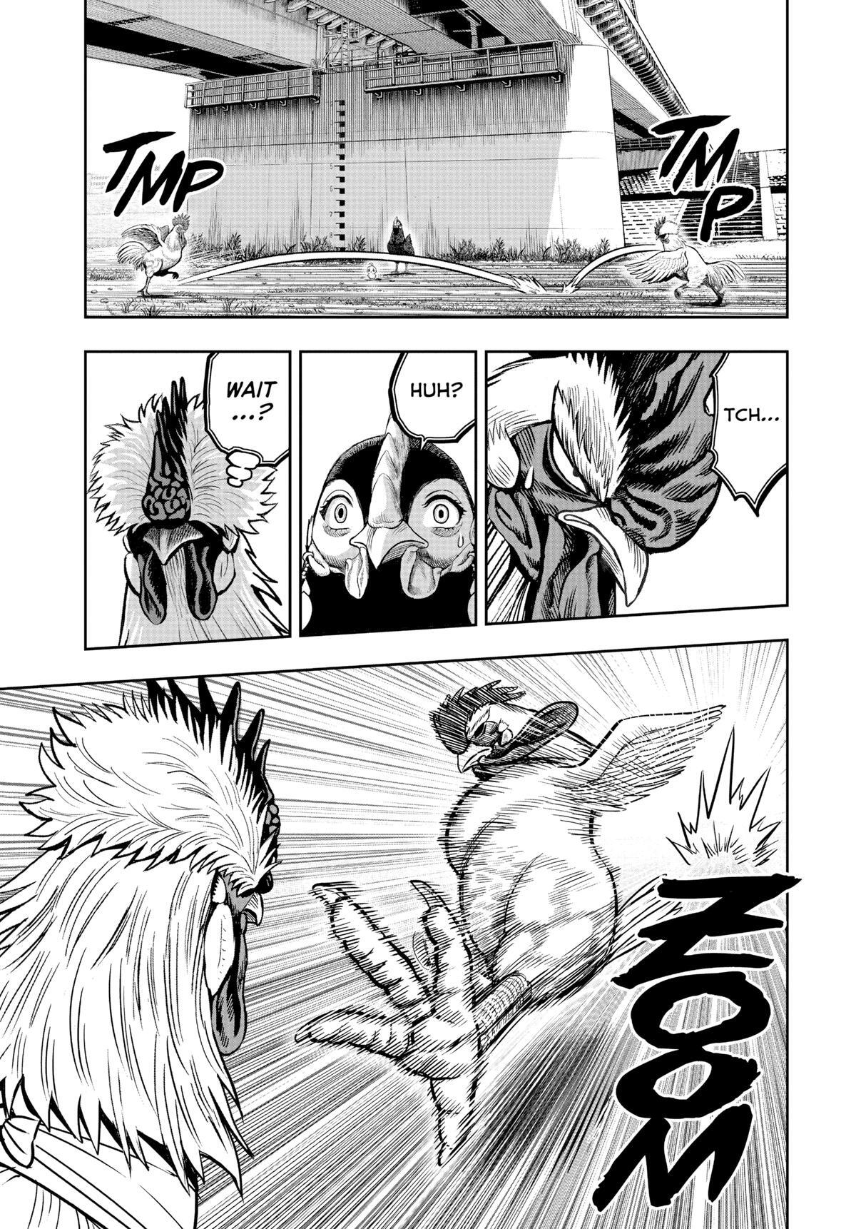 Read Rooster Fighter Manga Online