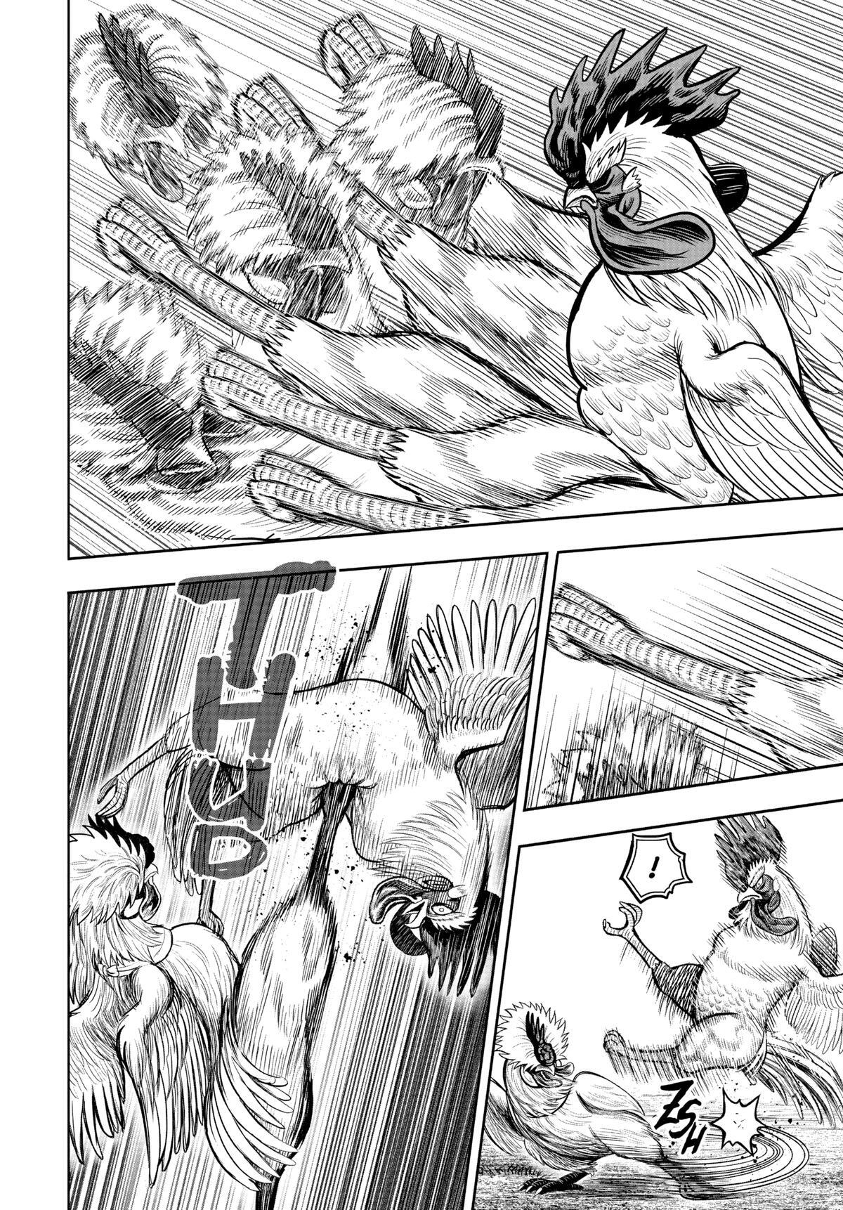 Read Rooster Fighter Manga Online