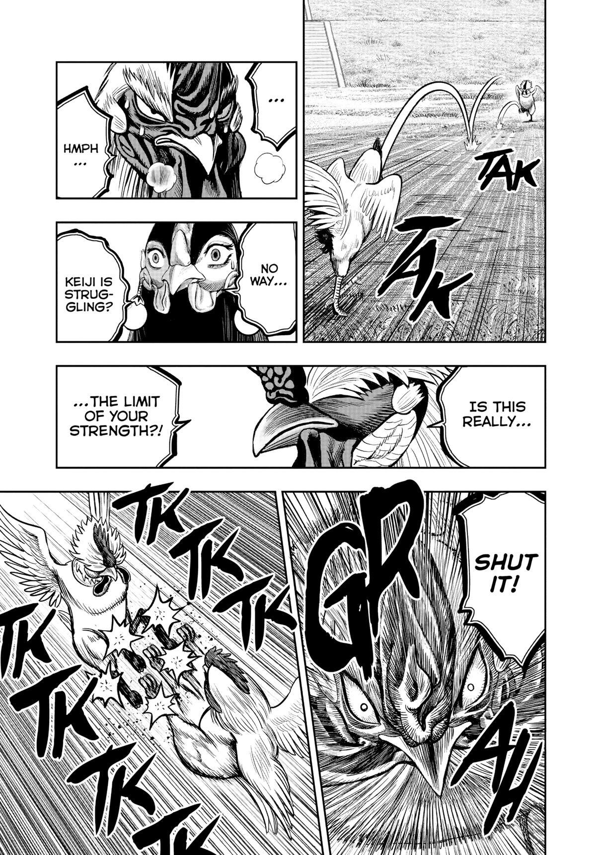 Read Rooster Fighter Manga Online