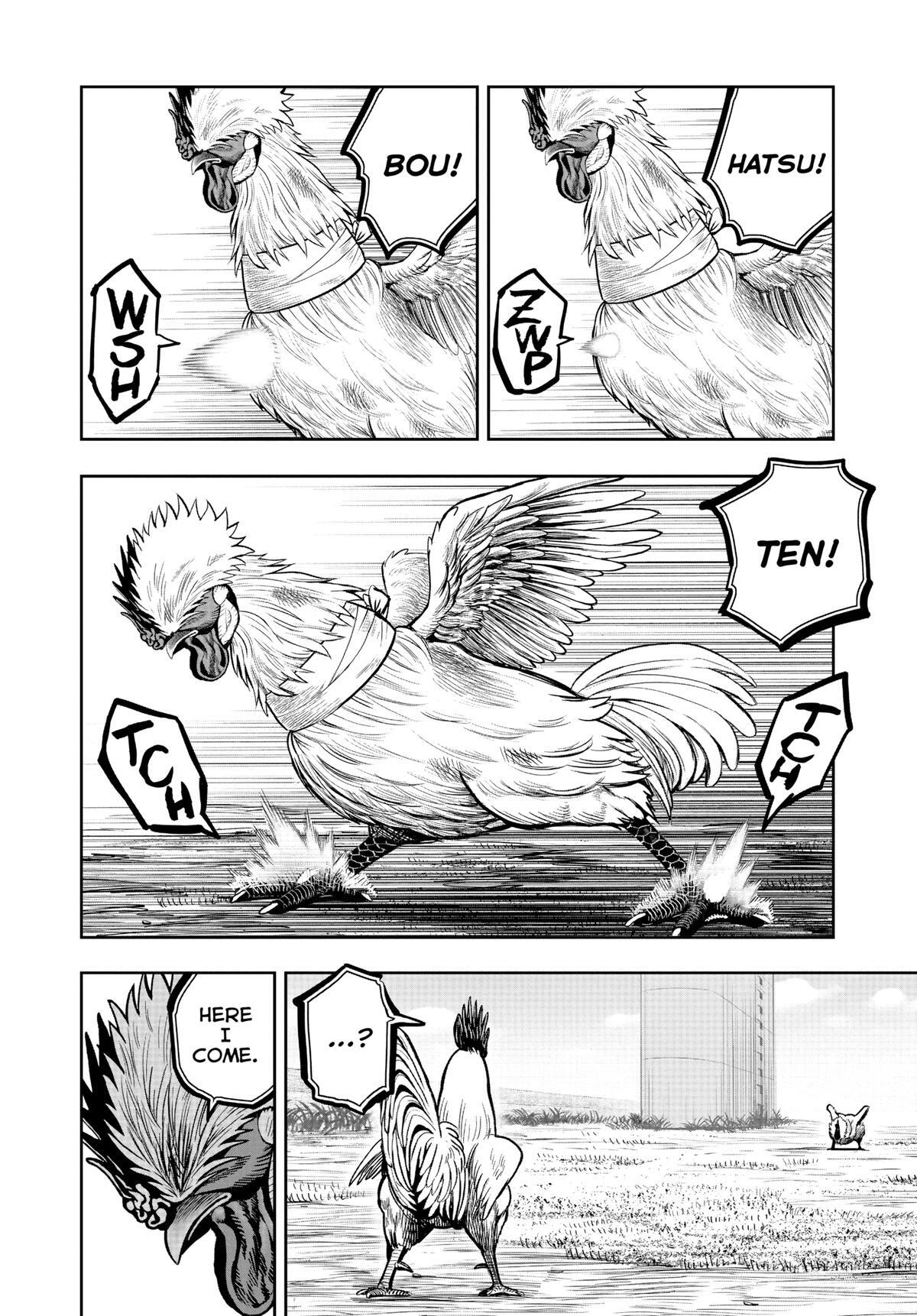 Read Rooster Fighter Manga Online