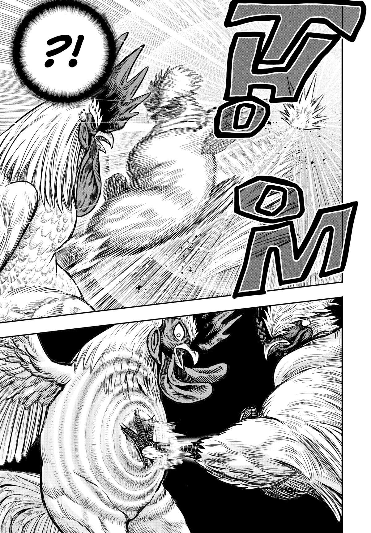 Read Rooster Fighter Manga Online