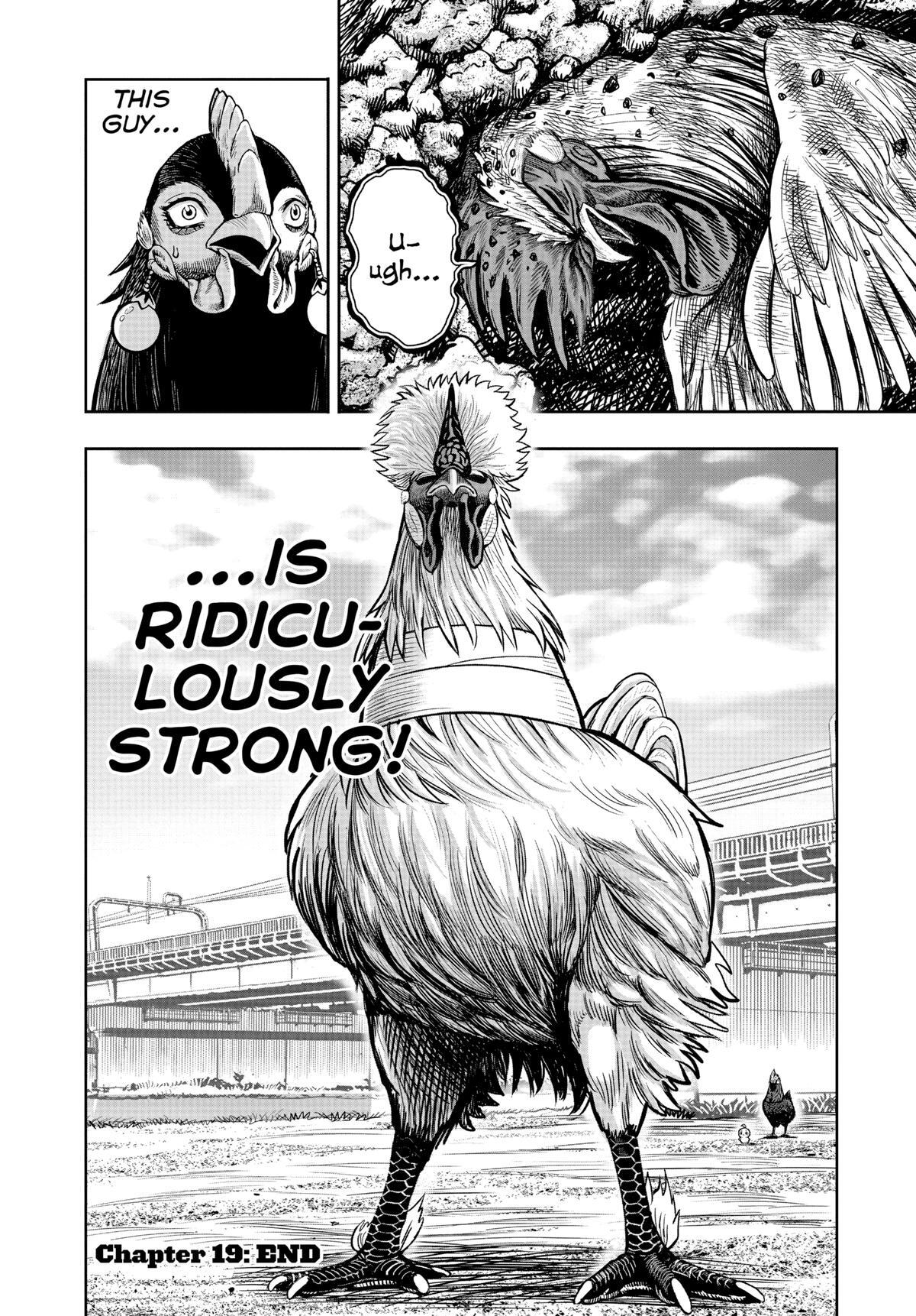 Read Rooster Fighter Manga Online