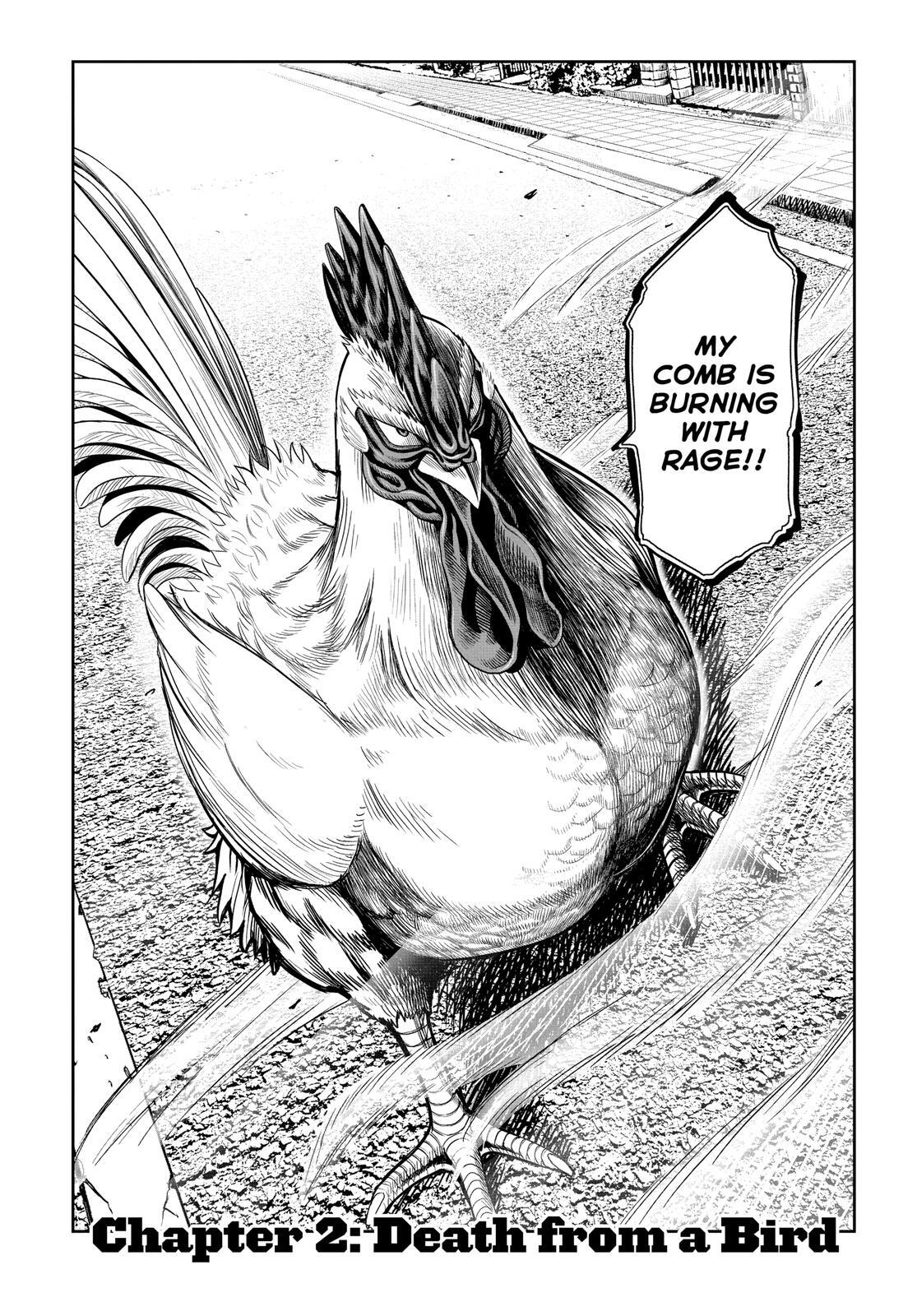 Read Rooster Fighter Manga Online