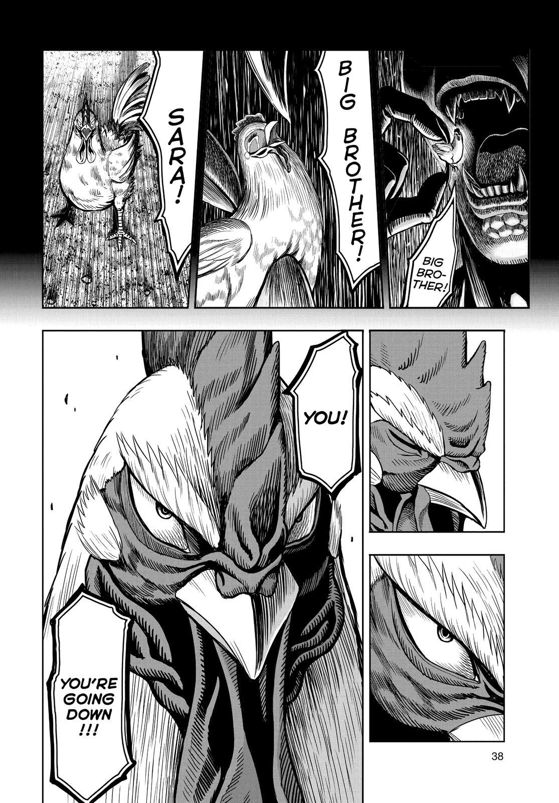 Read Rooster Fighter Manga Online