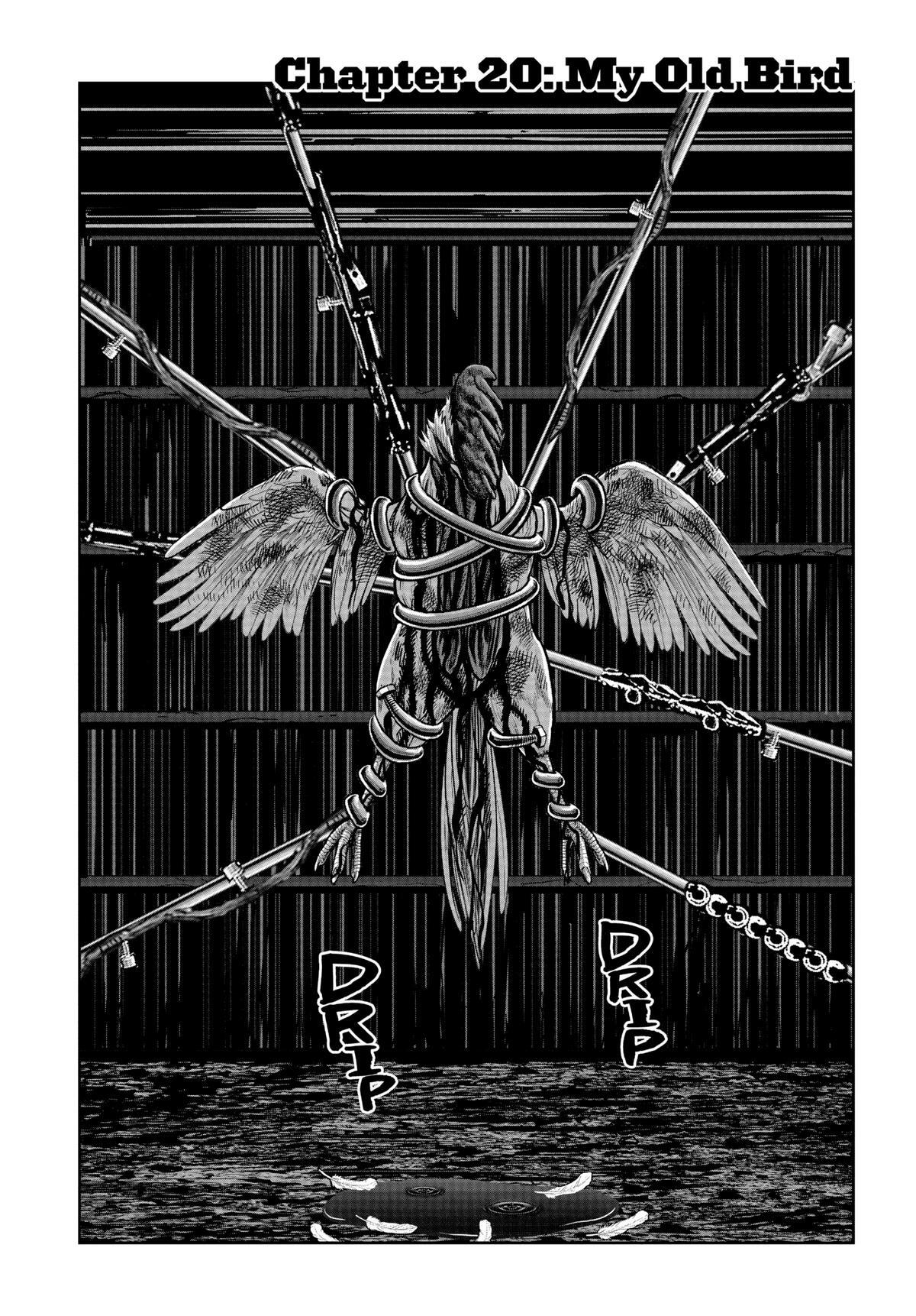 Read Rooster Fighter Manga Online